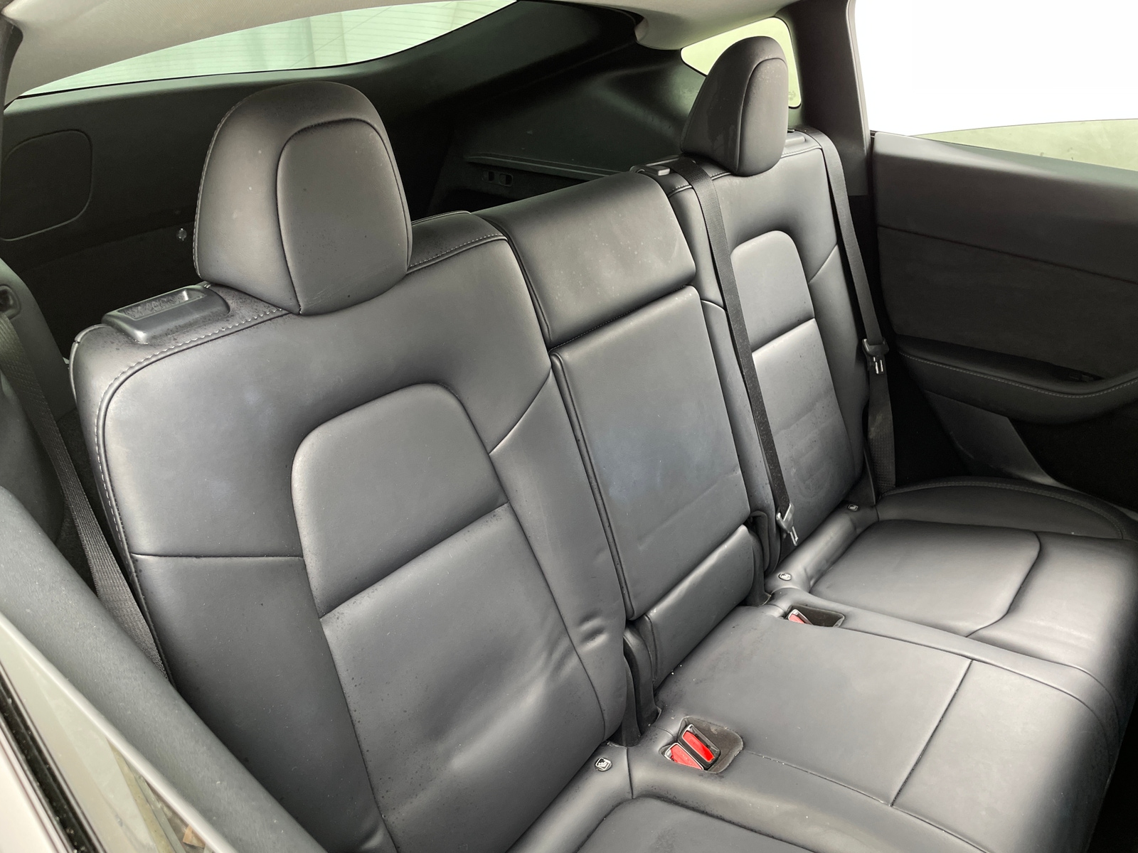 Thumbnail: 2023 Tesla Model Y - 5