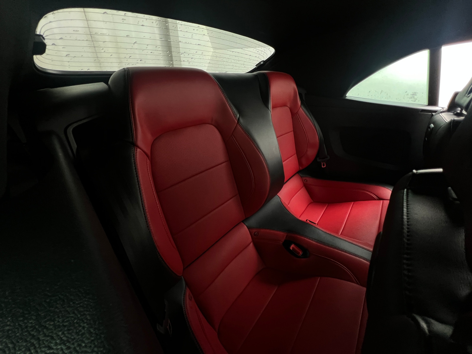 Thumbnail: 2019 Ford Mustang - 5