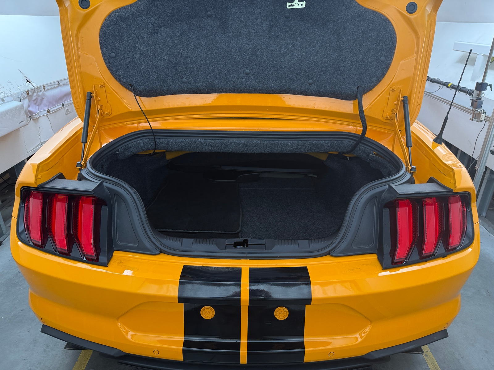 Thumbnail: 2019 Ford Mustang - 6