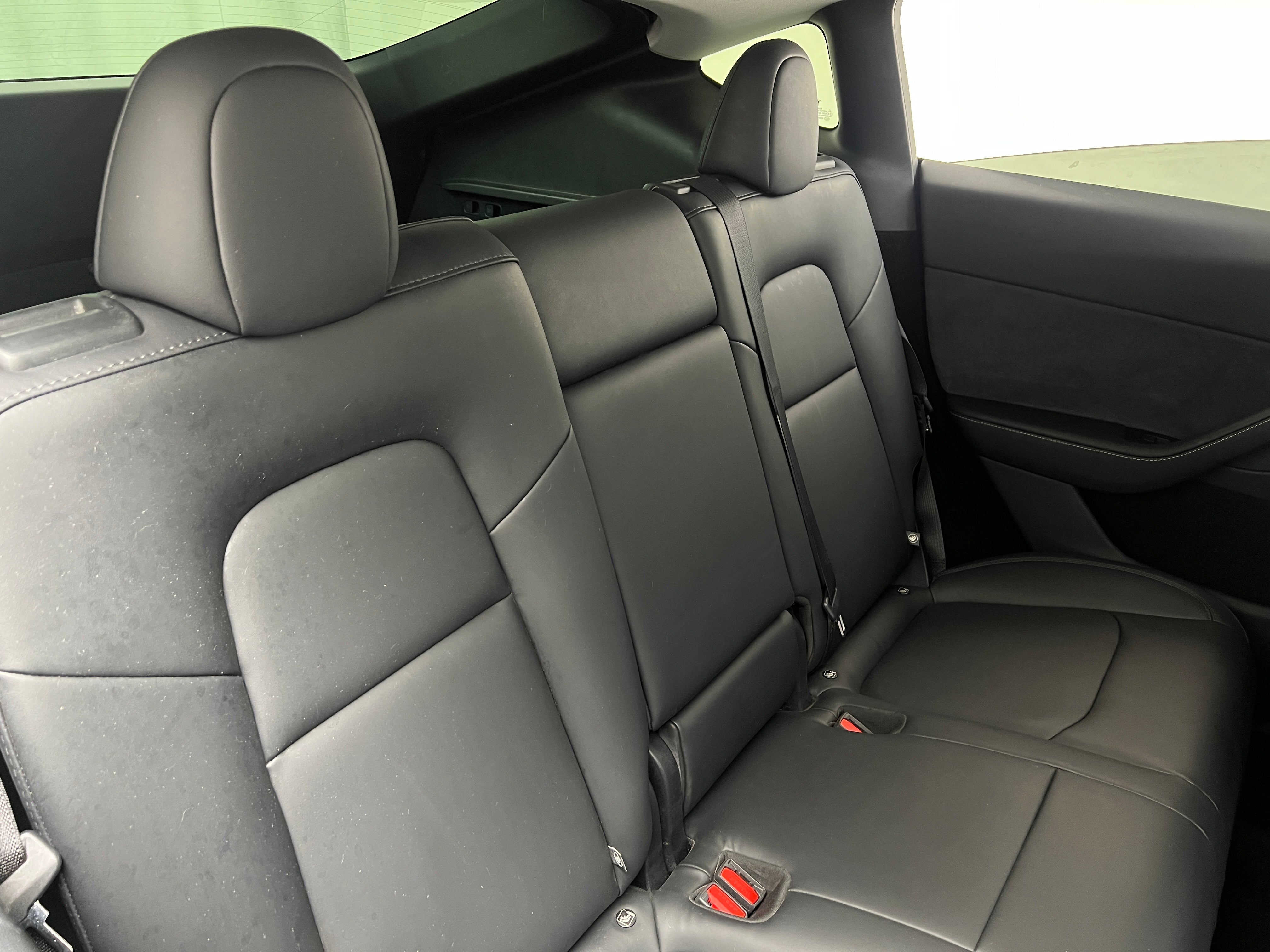 Used 2024 Tesla Model Y Long Range with VIN 7SAYGDEE3RA313035 for sale in Northfield, Minnesota