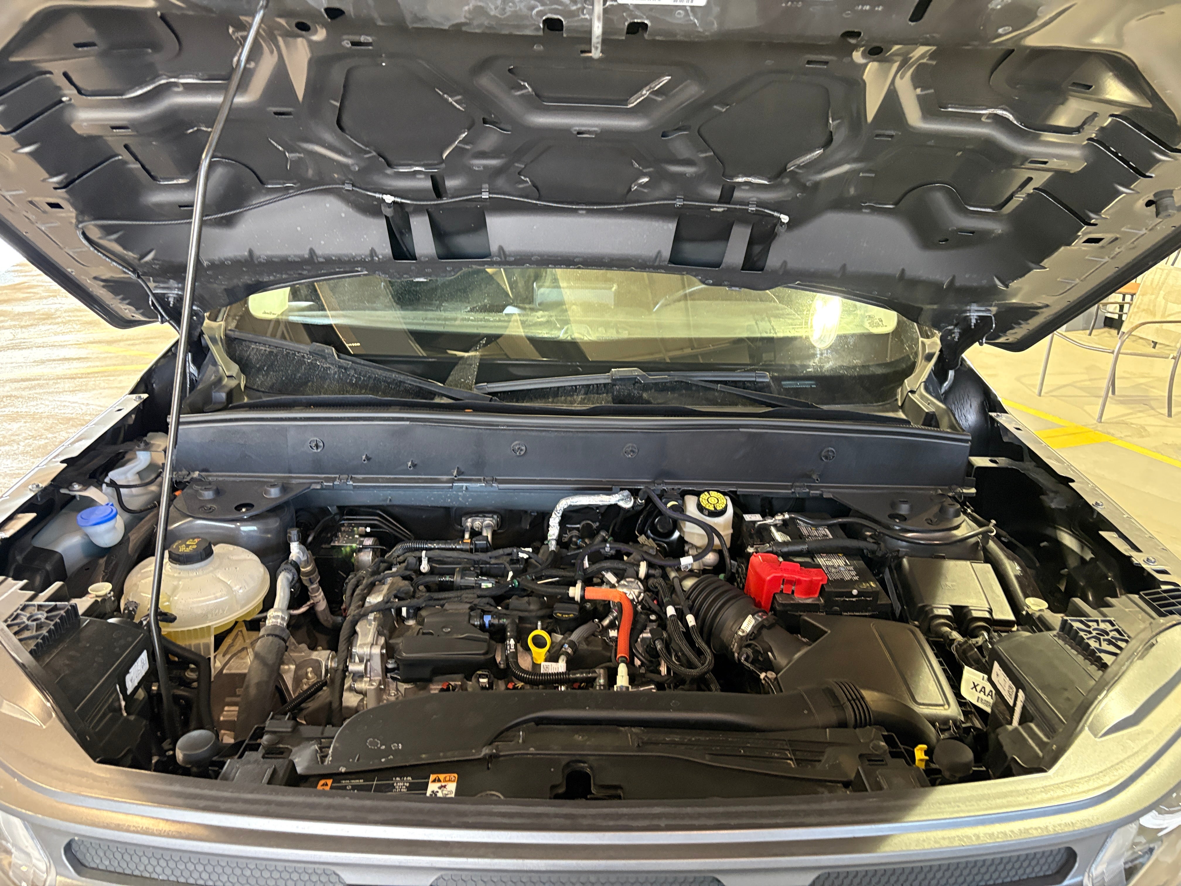 2023 Ford Bronco Sport