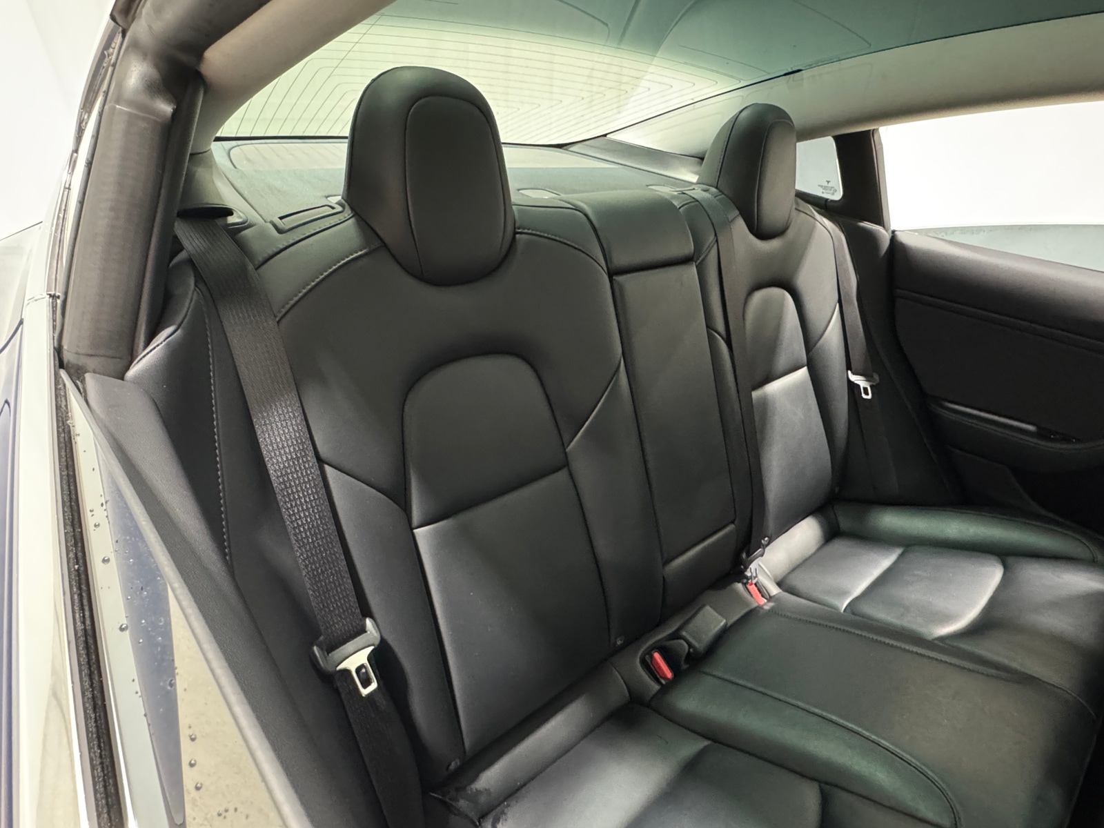 Thumbnail: 2019 Tesla Model 3 - 5