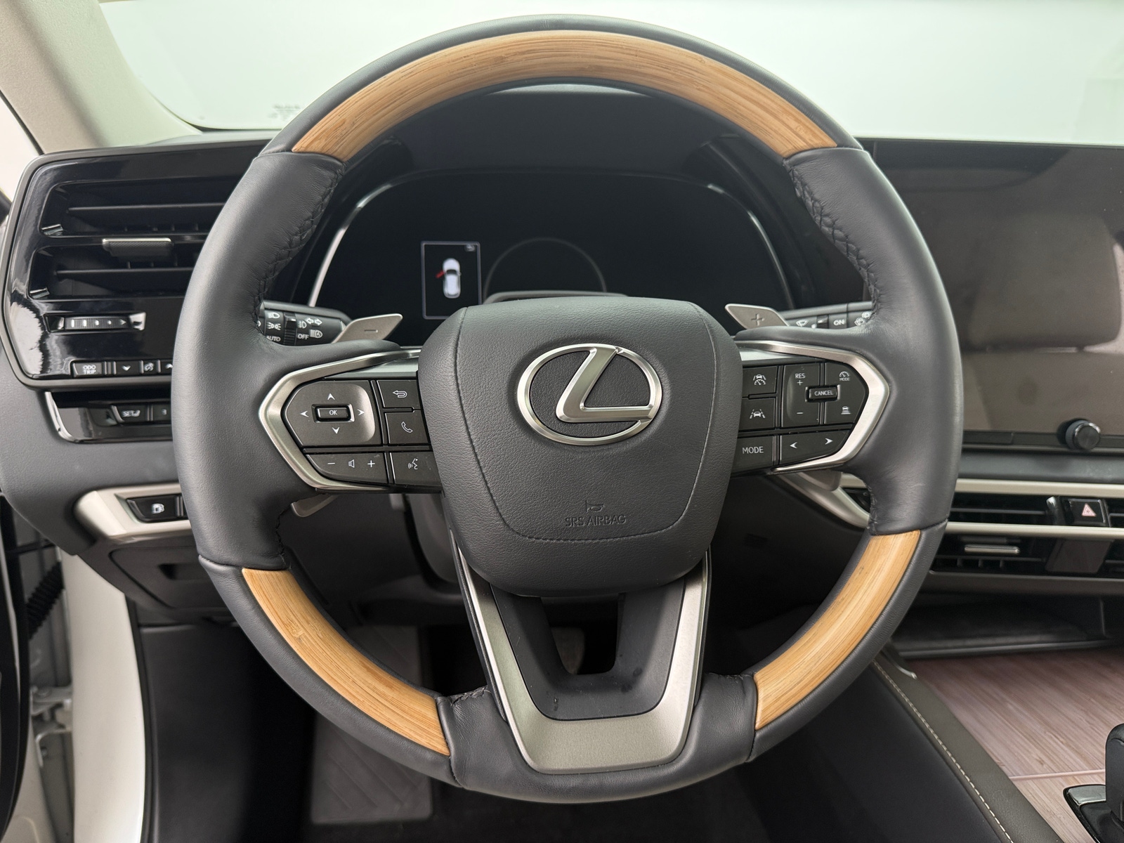 Thumbnail: 2024 Lexus RX - 5