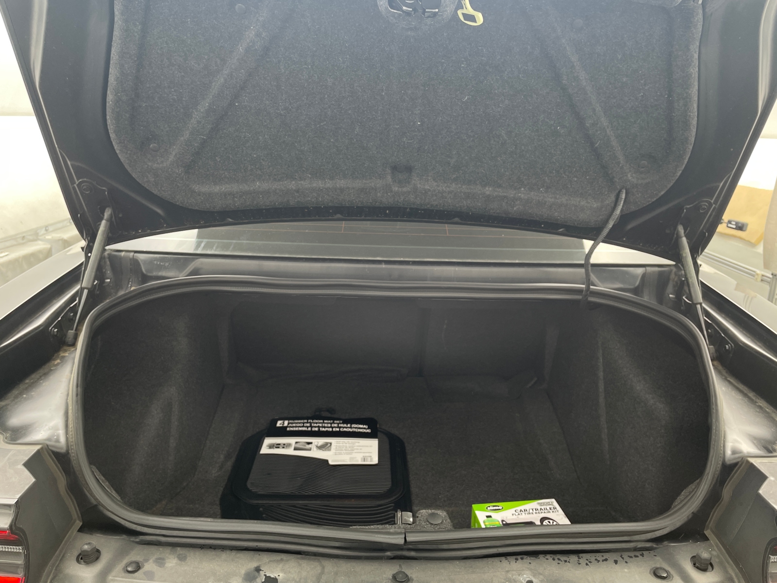 Thumbnail: 2019 Dodge Challenger - 5