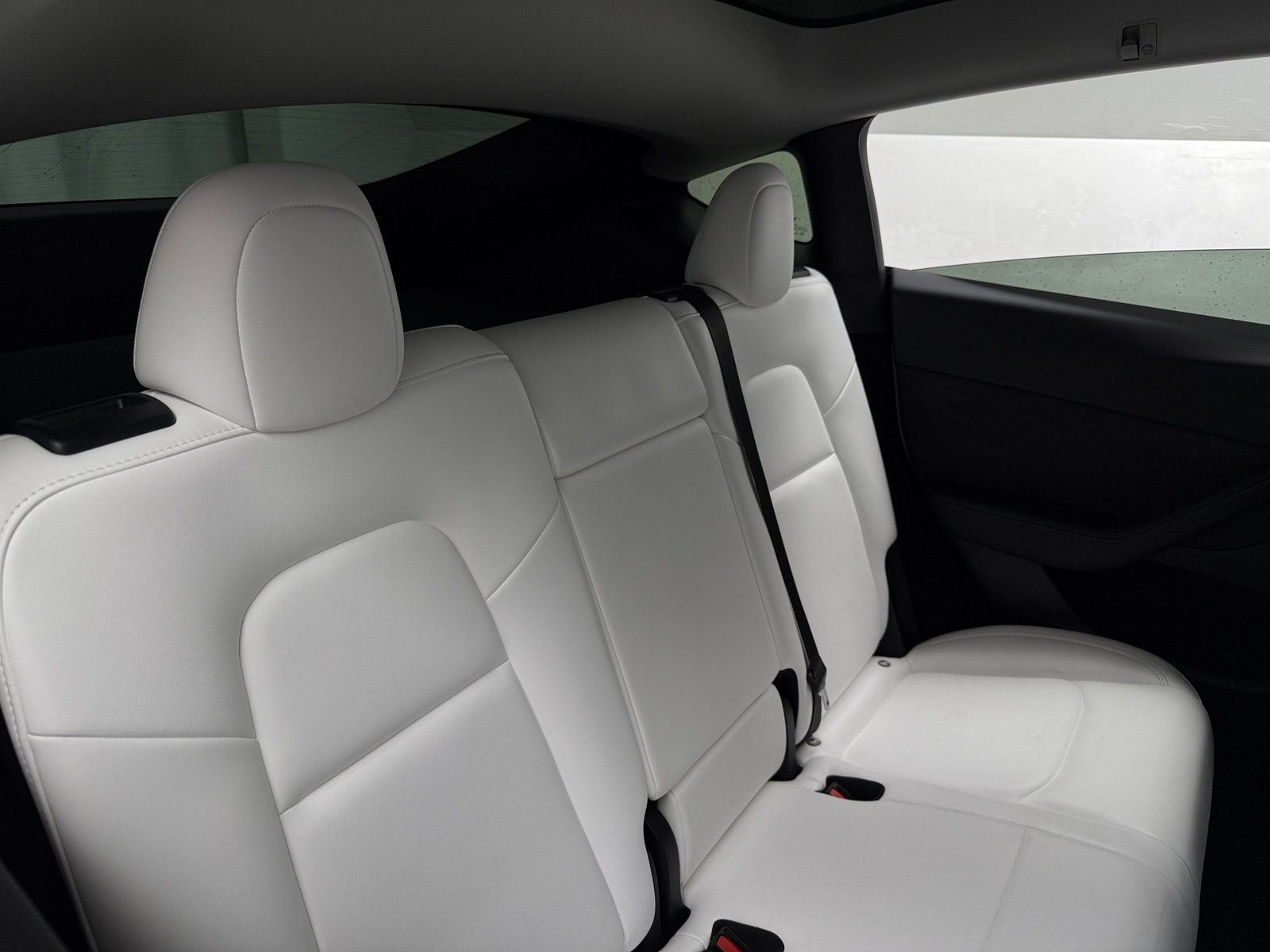 Thumbnail: 2023 Tesla Model Y - 5