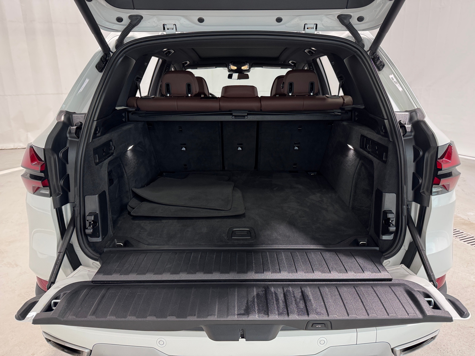 Thumbnail: 2025 BMW X5 - 6