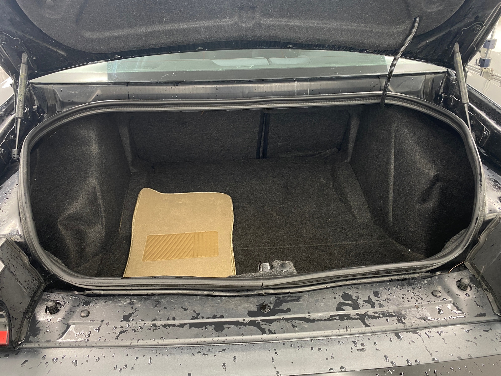 Thumbnail: 2019 Dodge Challenger - 5