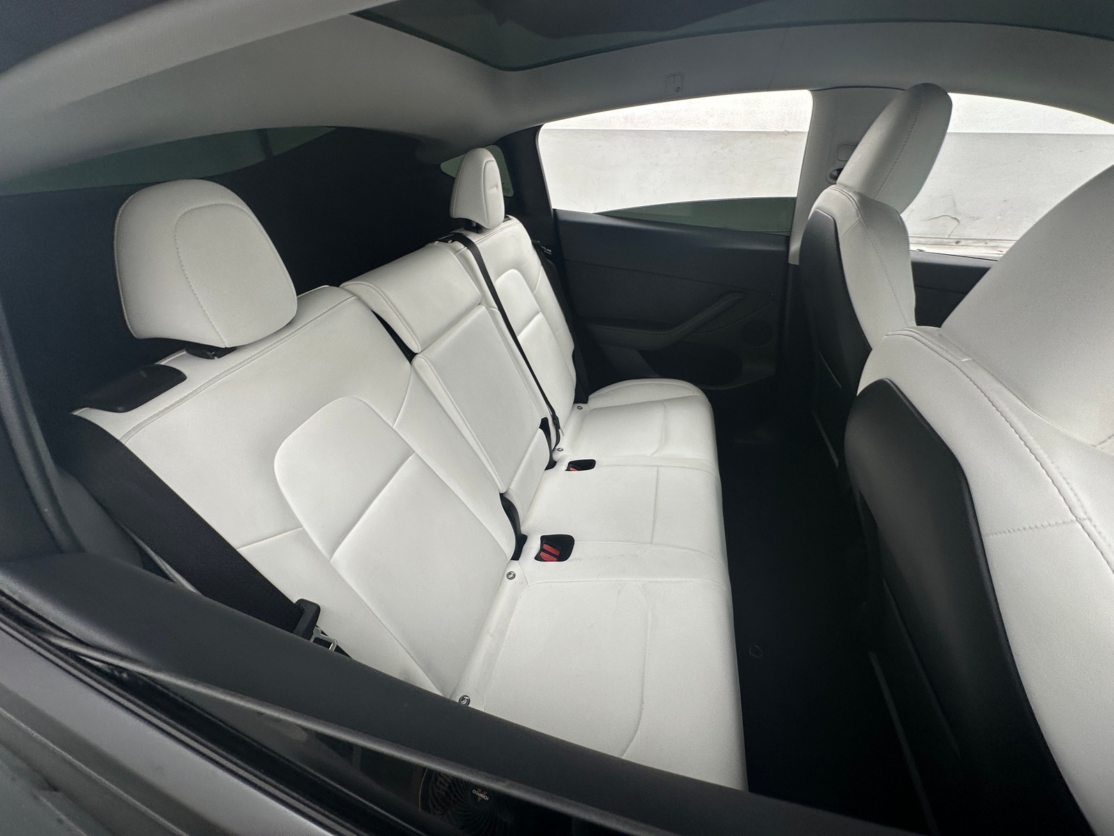 Thumbnail: 2023 Tesla Model Y - 5