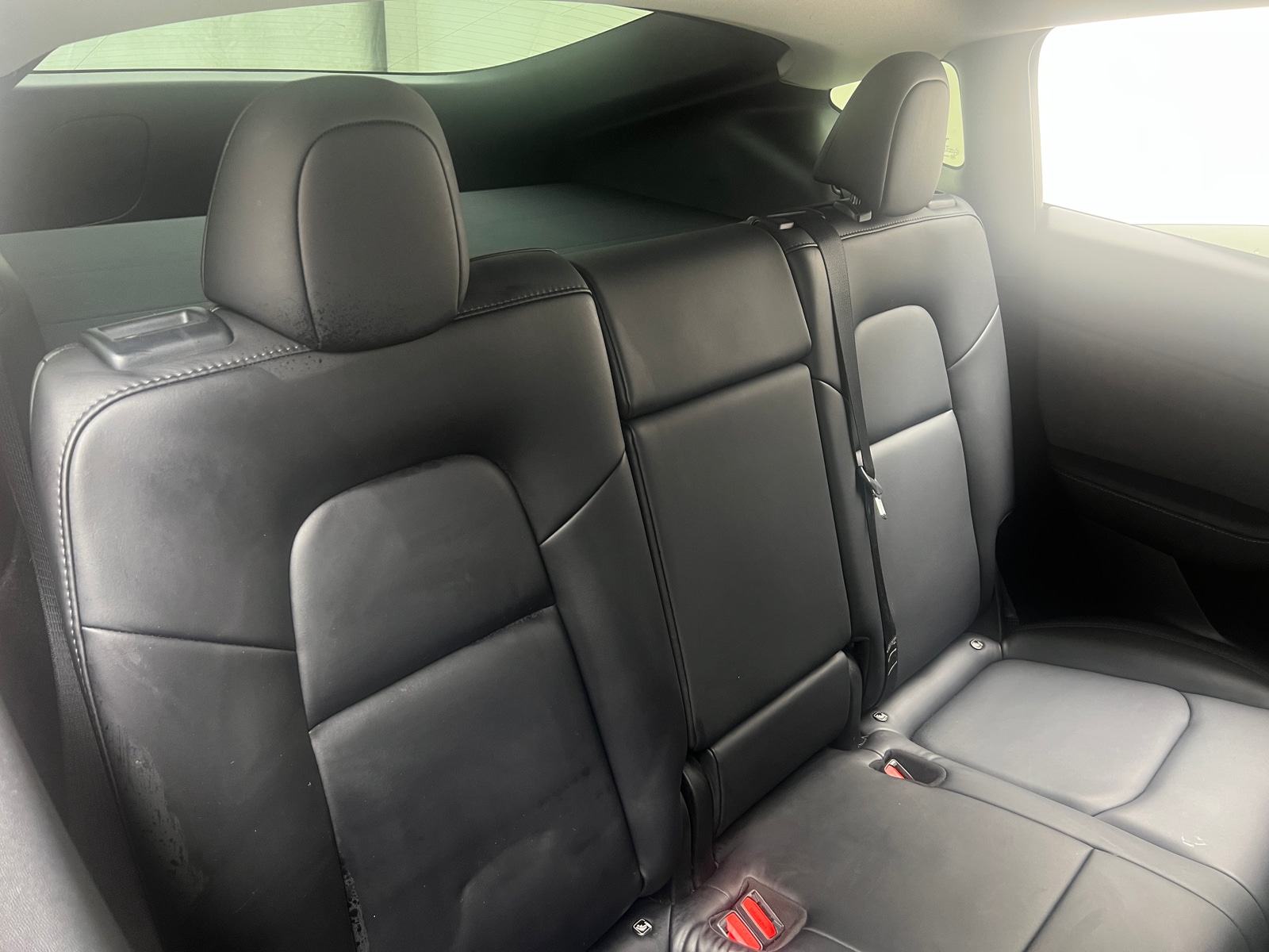 Thumbnail: 2023 Tesla Model Y - 5