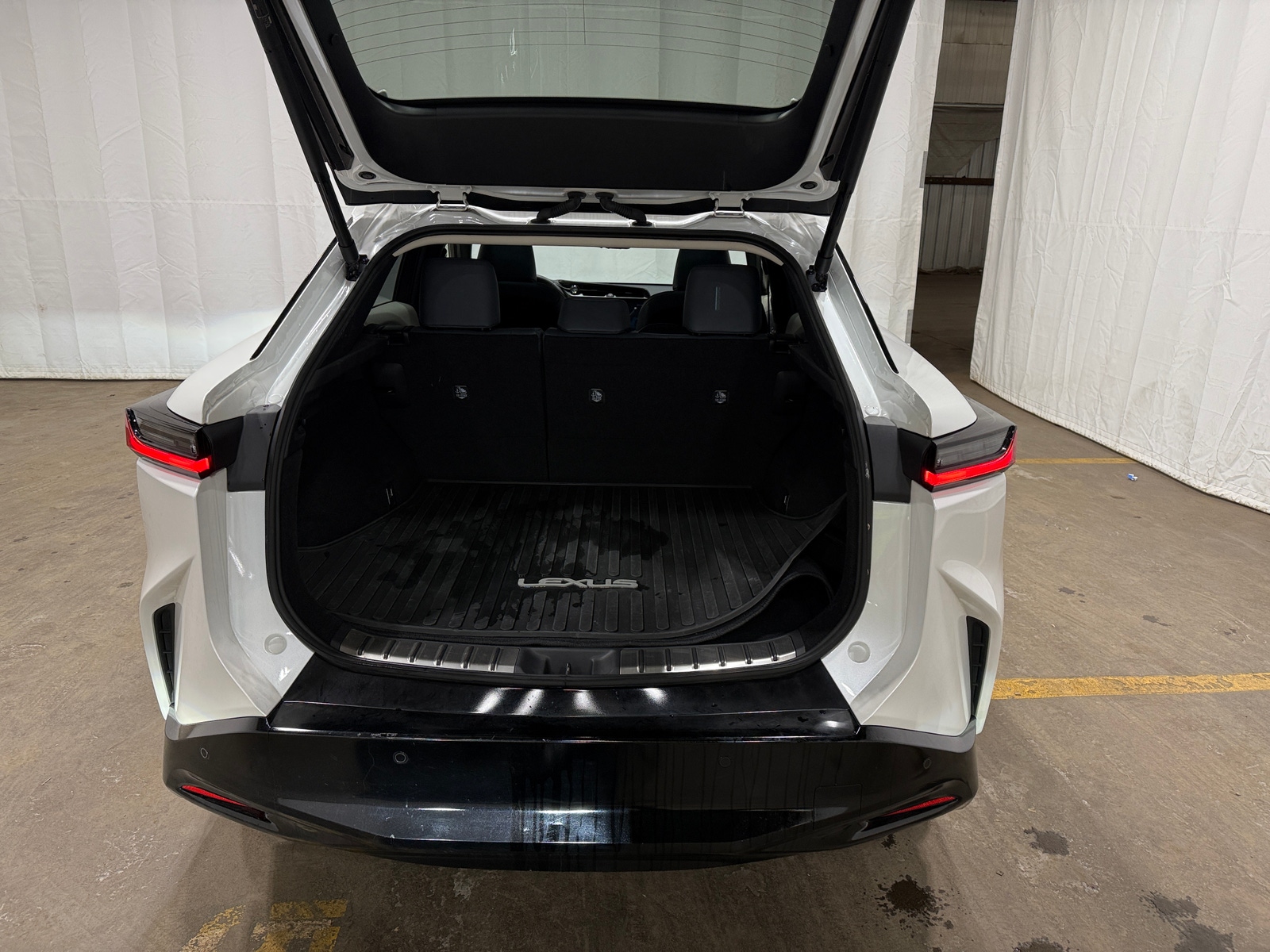 Thumbnail: 2024 Lexus RZ - 6