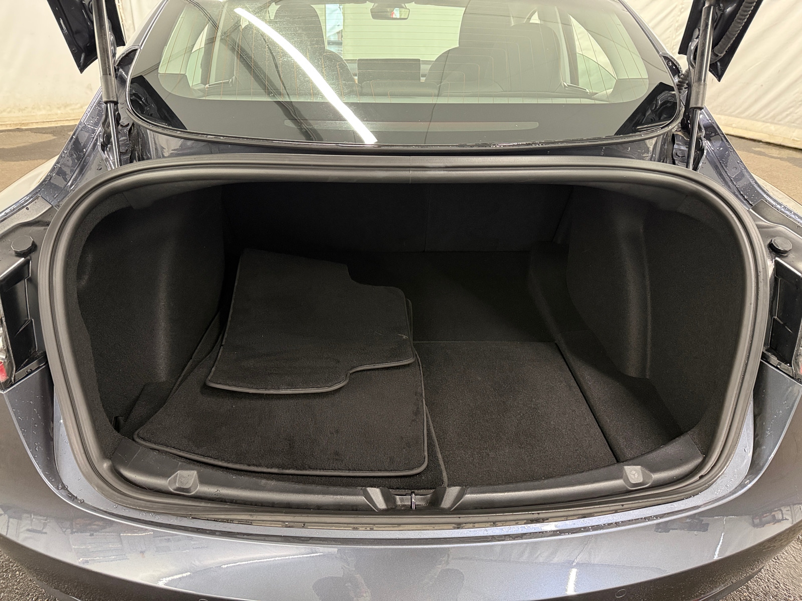 Thumbnail: 2020 Tesla Model 3 - 6