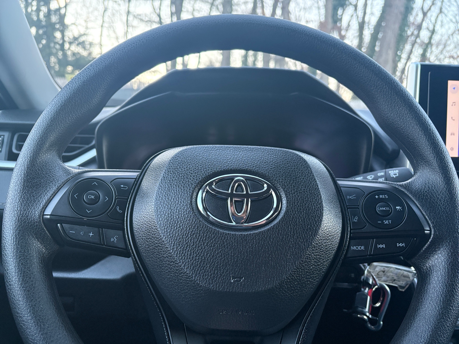 Thumbnail: 2025 Toyota RAV4 - 4