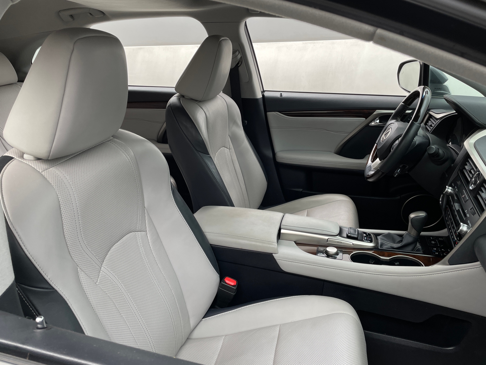 Thumbnail: 2019 Lexus RX - 2