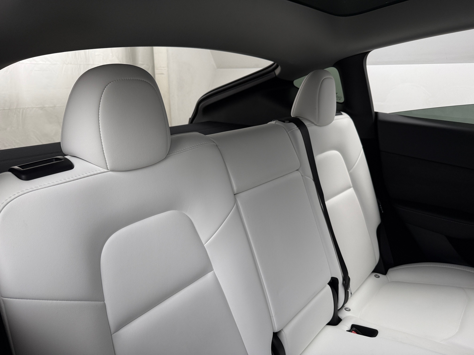 Thumbnail: 2023 Tesla Model Y - 5