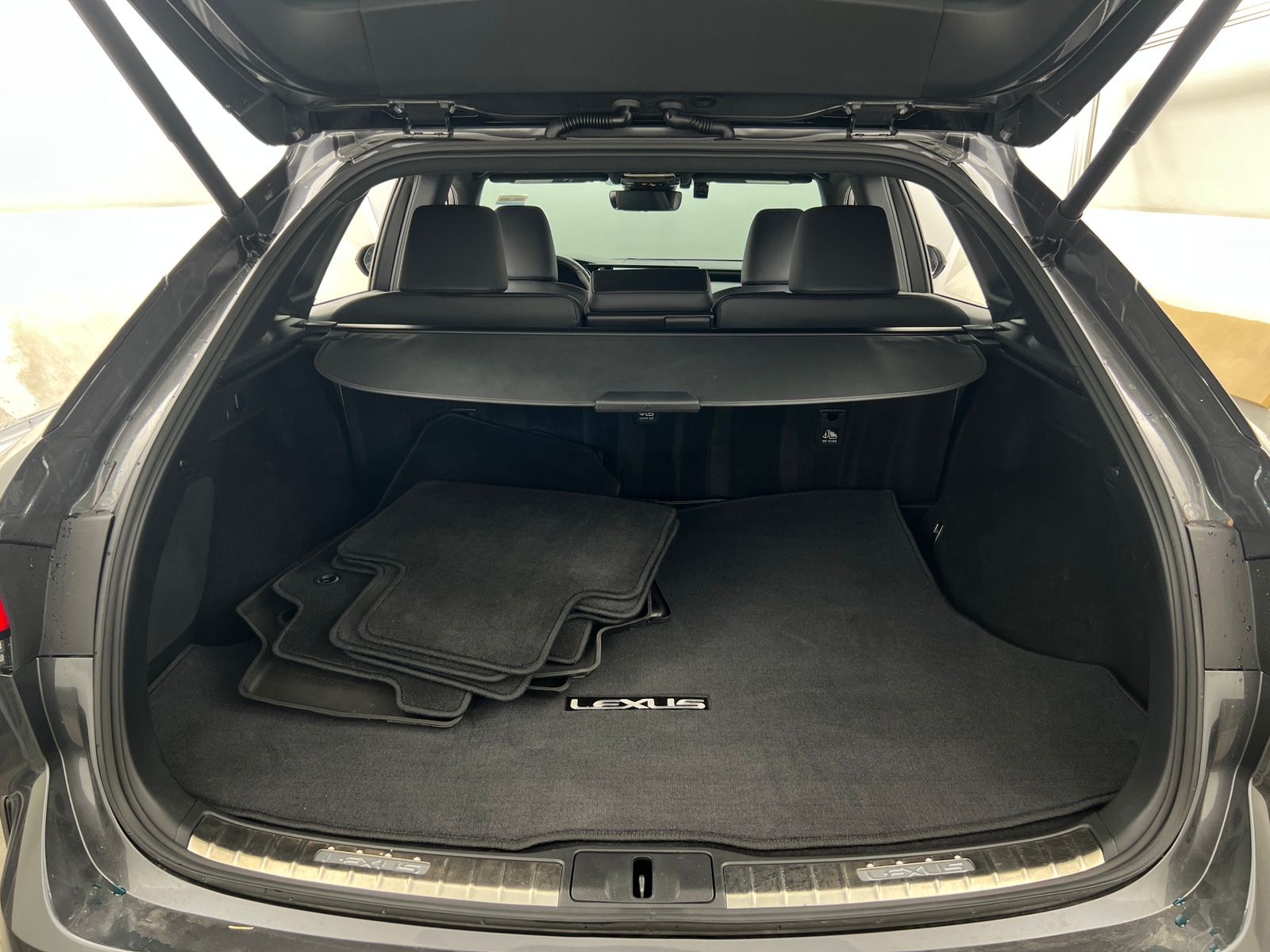 Thumbnail: 2024 Lexus RX - 7