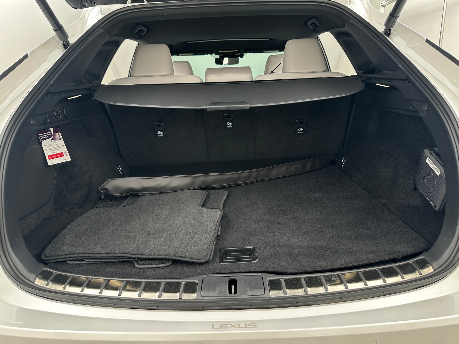 Thumbnail: 2024 Lexus RX - 6