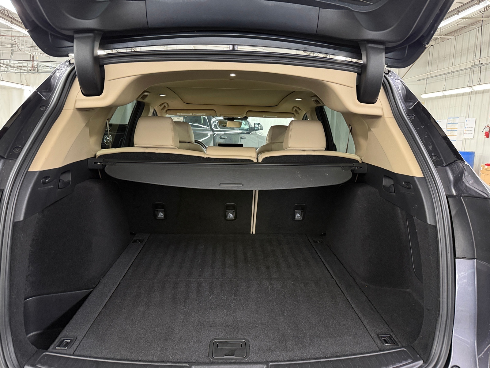 Thumbnail: 2019 Acura RDX - 6