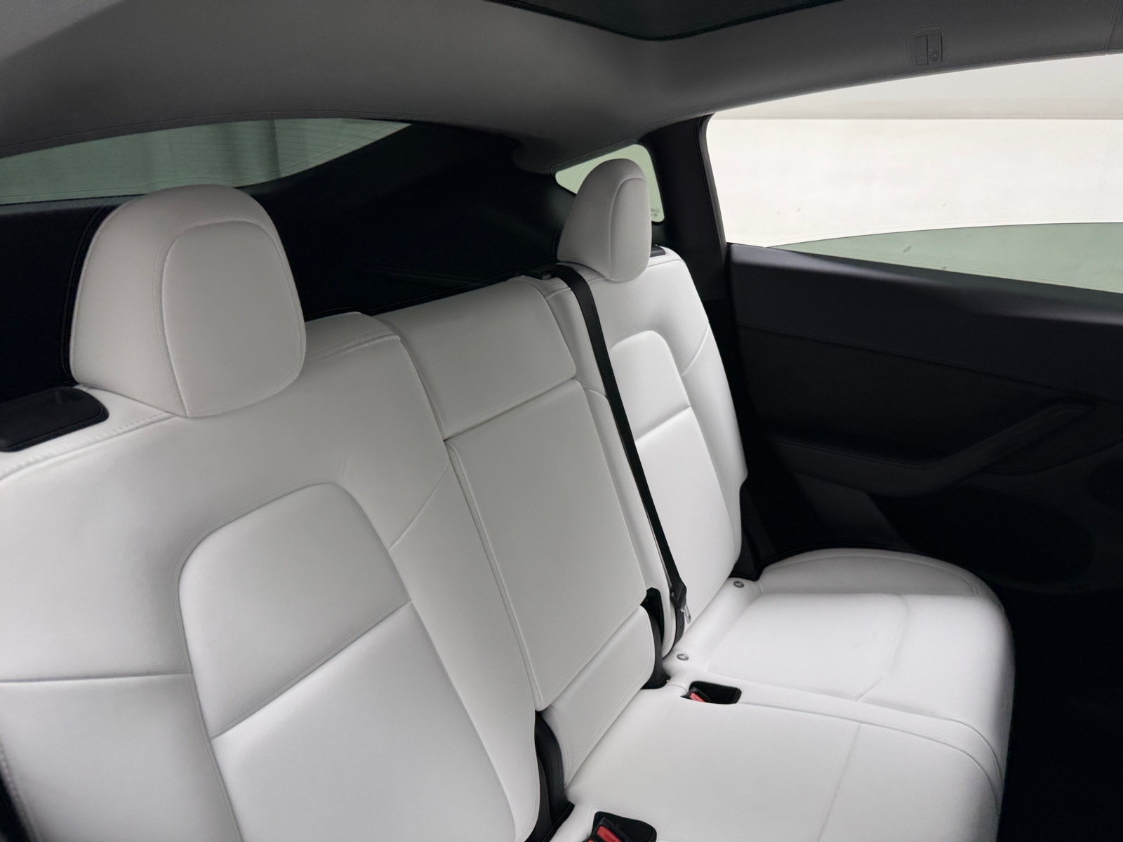 Thumbnail: 2023 Tesla Model Y - 5