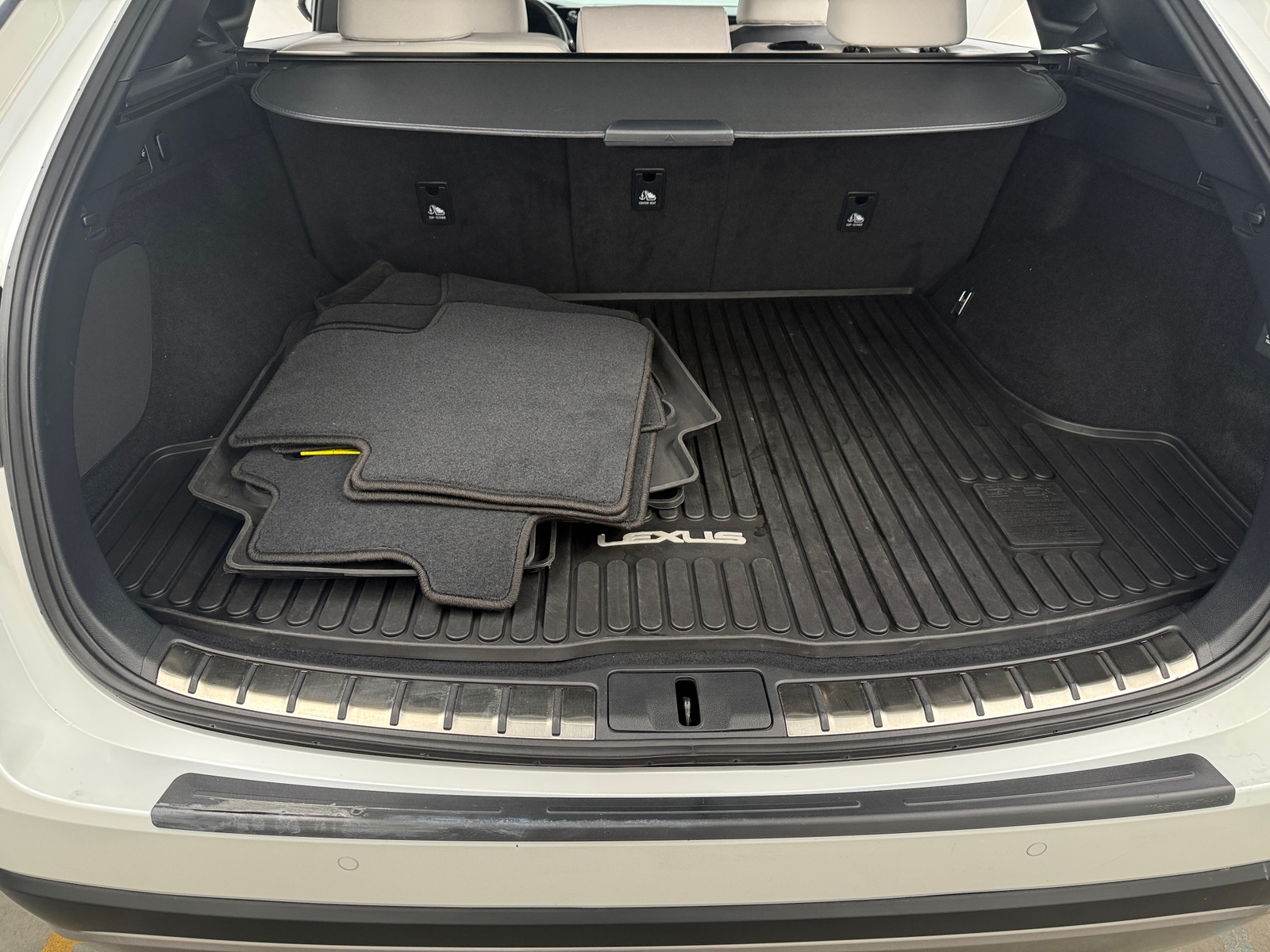 Thumbnail: 2024 Lexus RX - 6