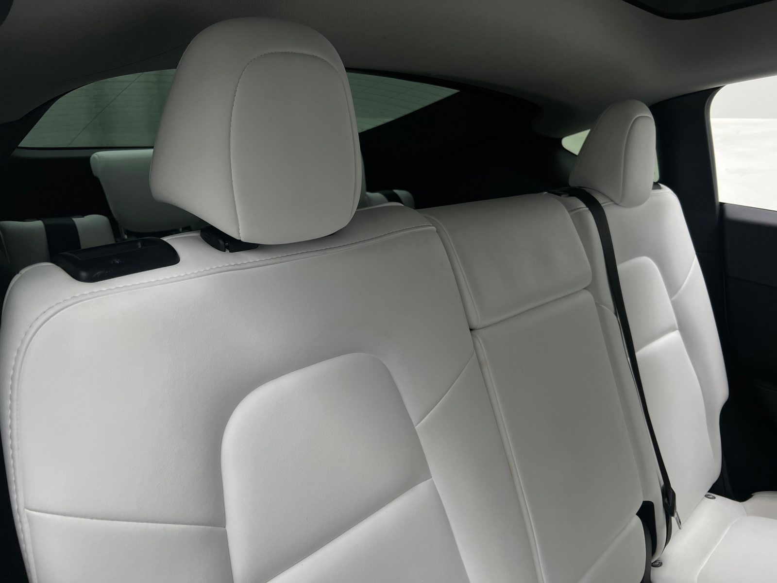 Thumbnail: 2023 Tesla Model Y - 5