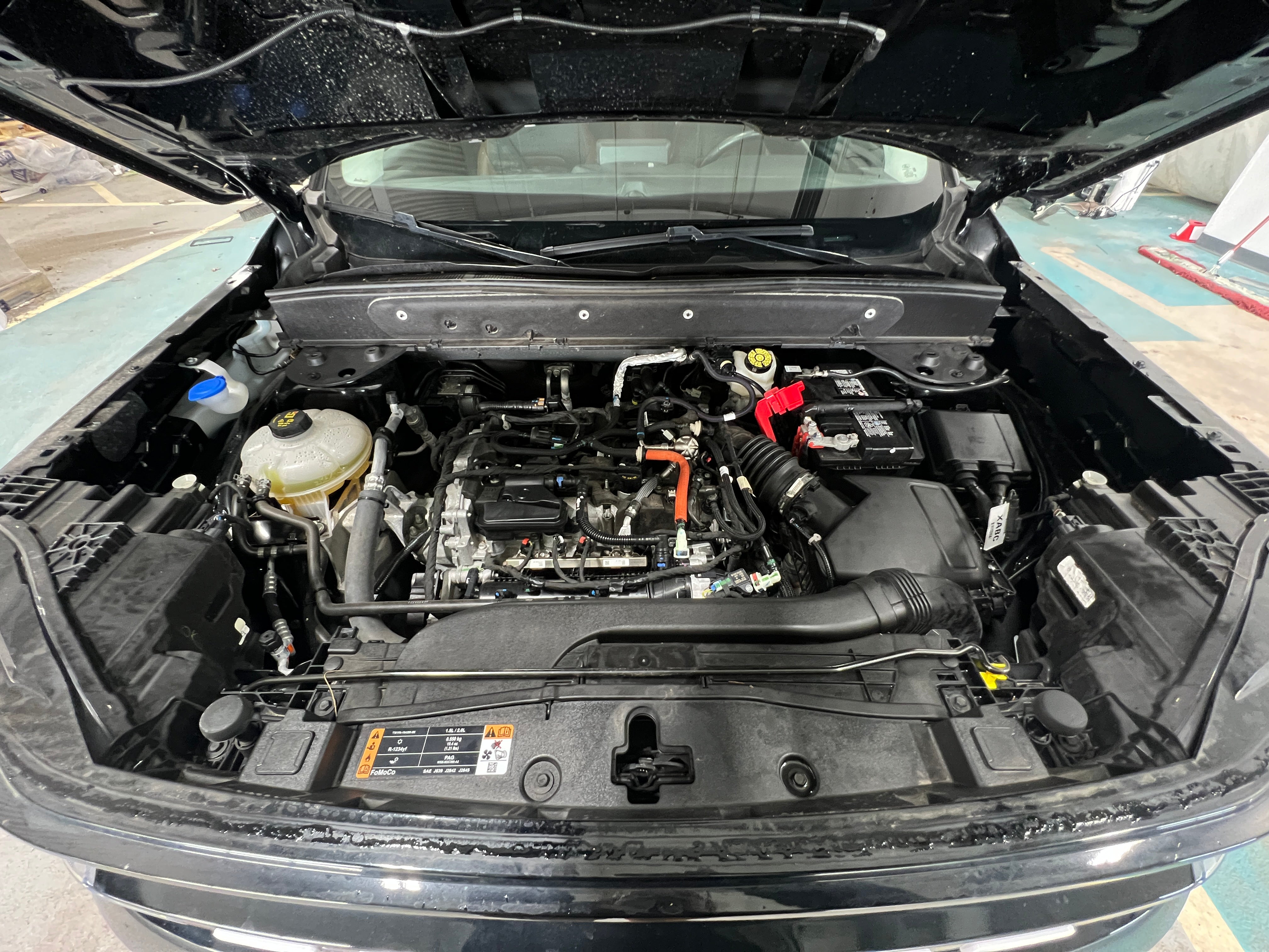 2023 Ford Bronco Sport