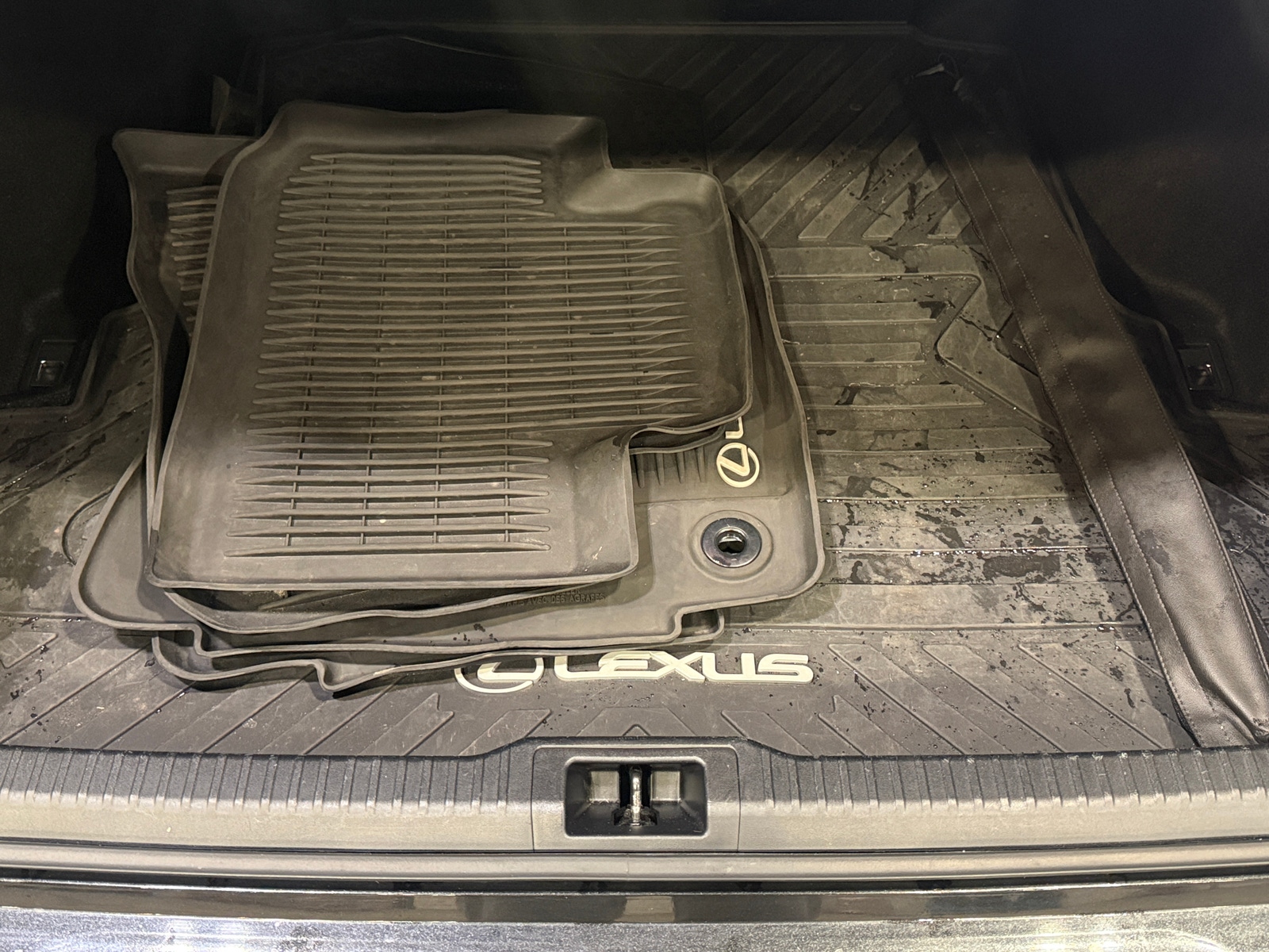 Thumbnail: 2022 Lexus IS - 6