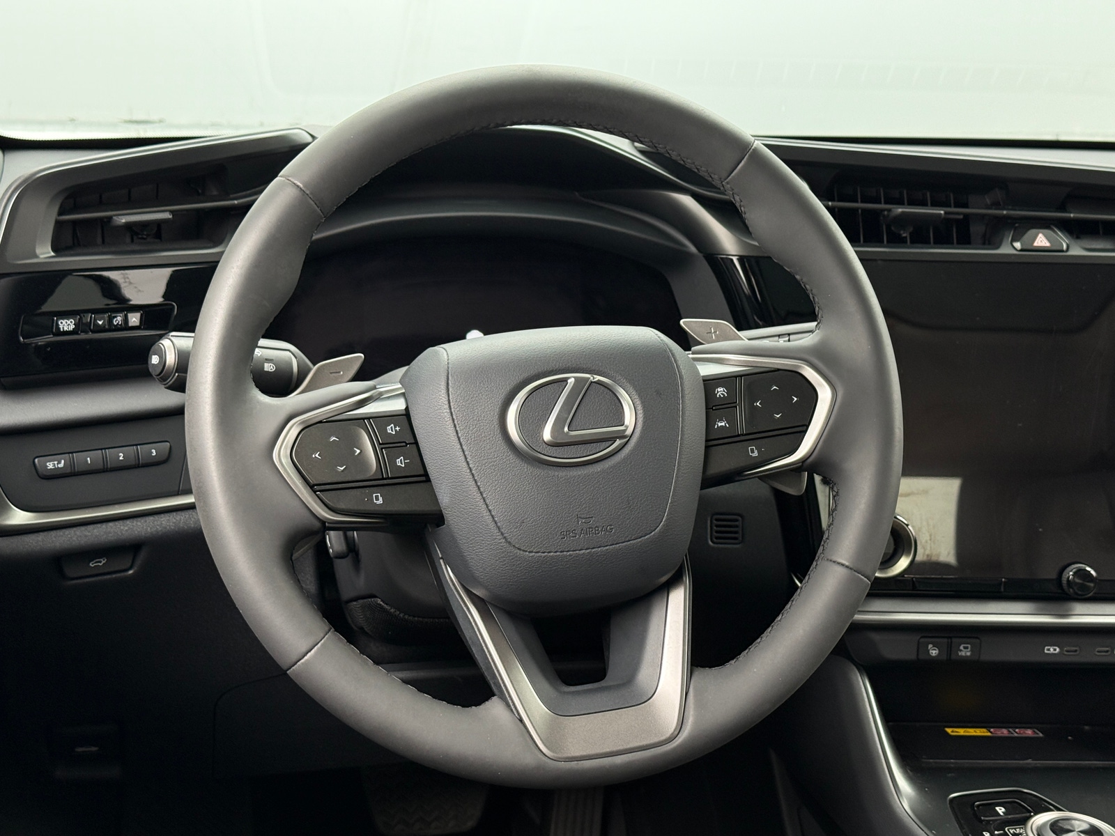 Thumbnail: 2024 Lexus RZ - 4