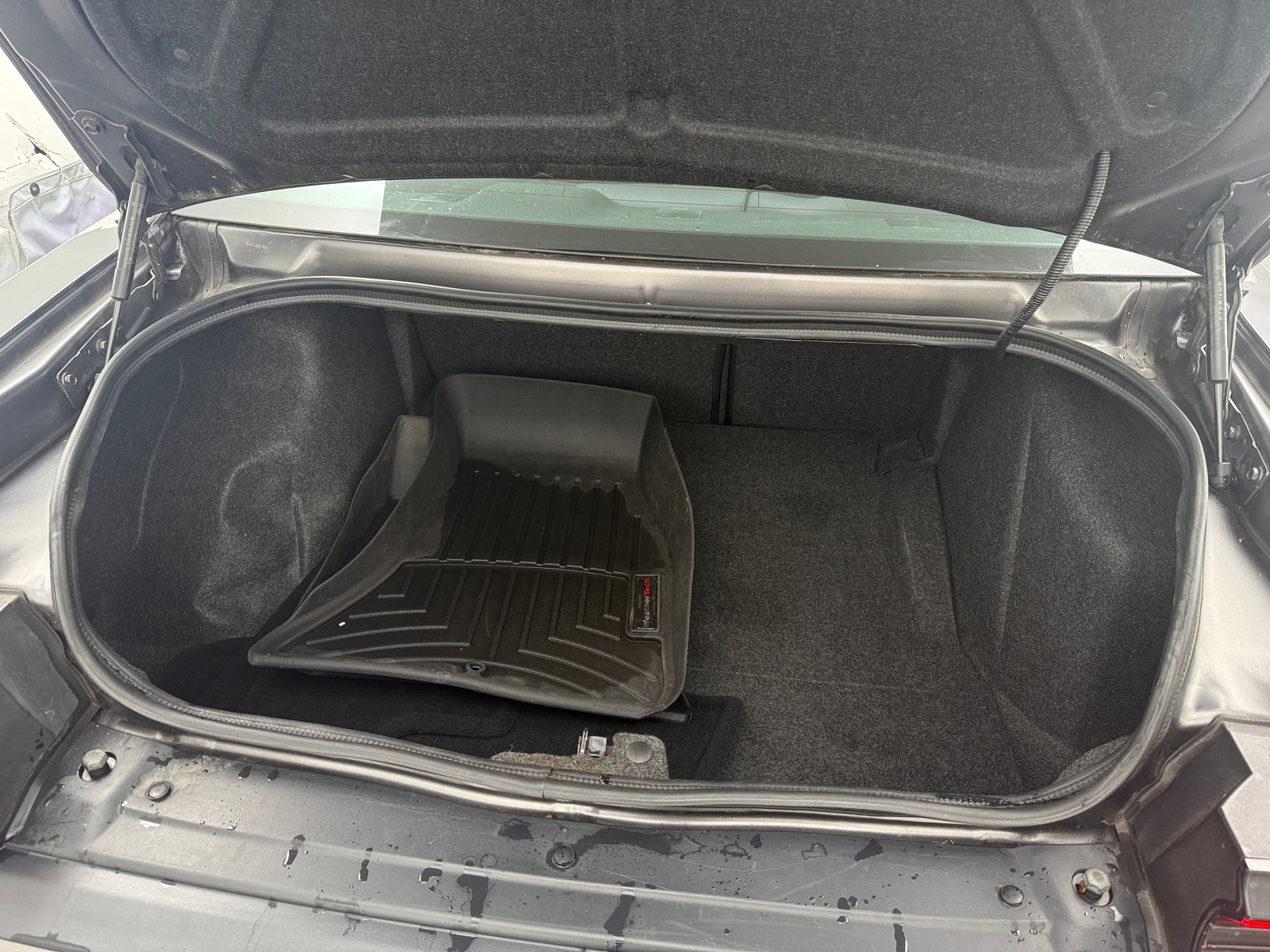 Thumbnail: 2019 Dodge Challenger - 5