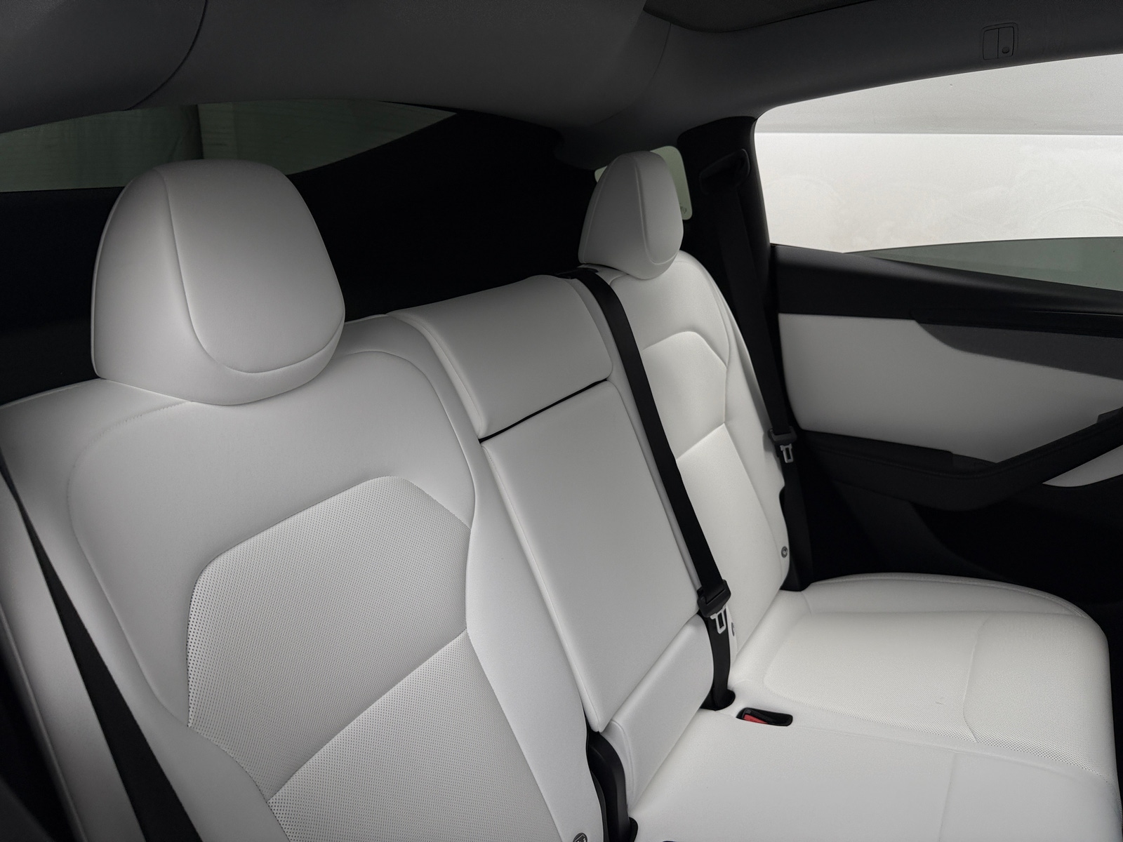 Thumbnail: 2026 Tesla Model Y - 5