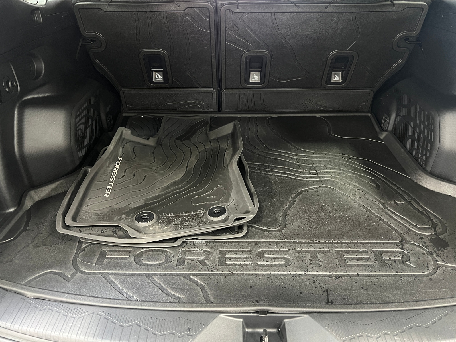 Thumbnail: 2025 Subaru Forester - 6