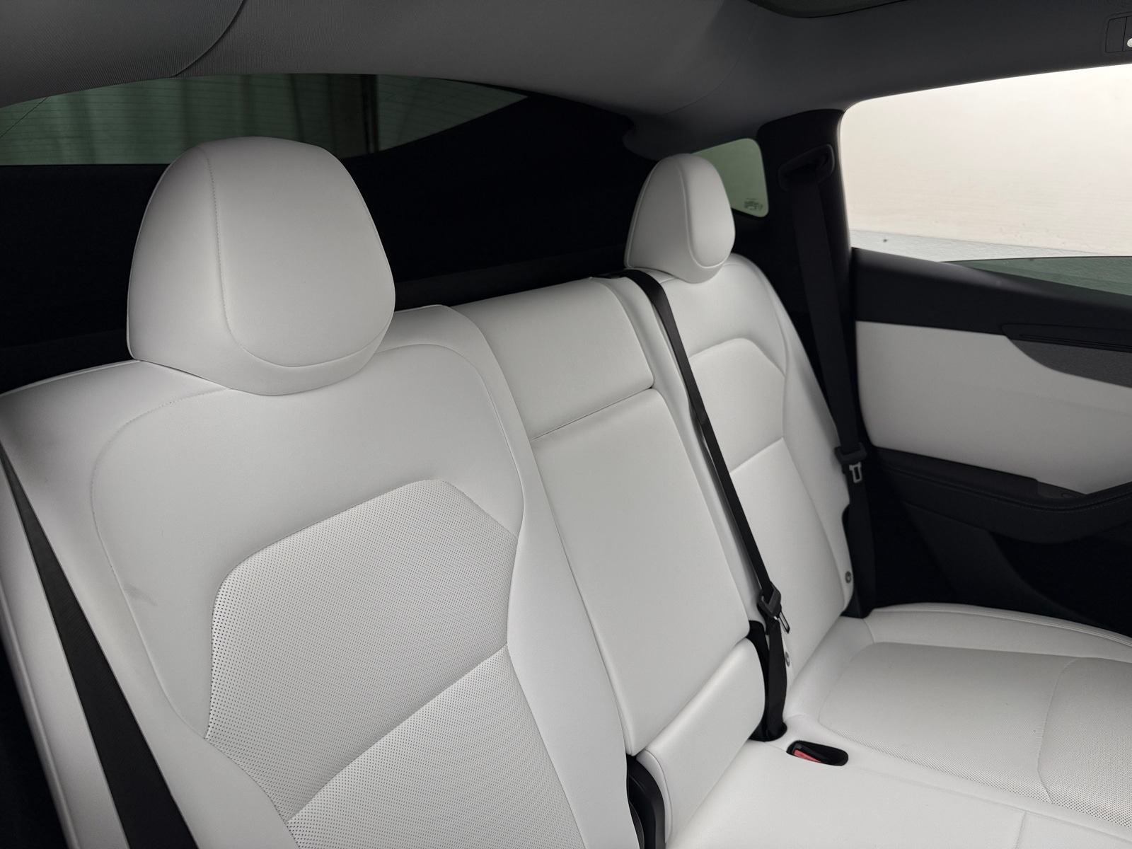 Thumbnail: 2026 Tesla Model Y - 5