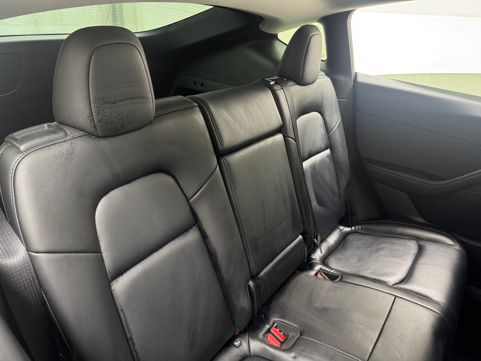 Thumbnail: 2020 Tesla Model Y - 5