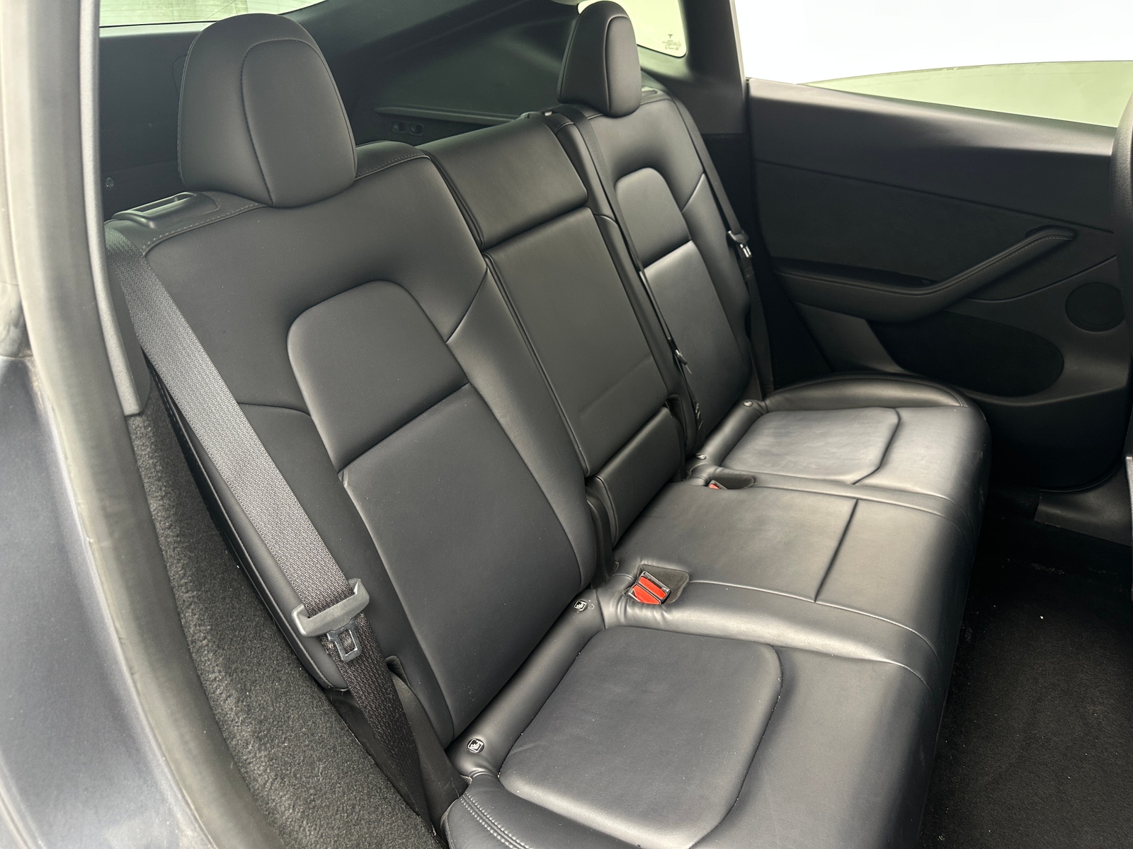 Thumbnail: 2023 Tesla Model Y - 5