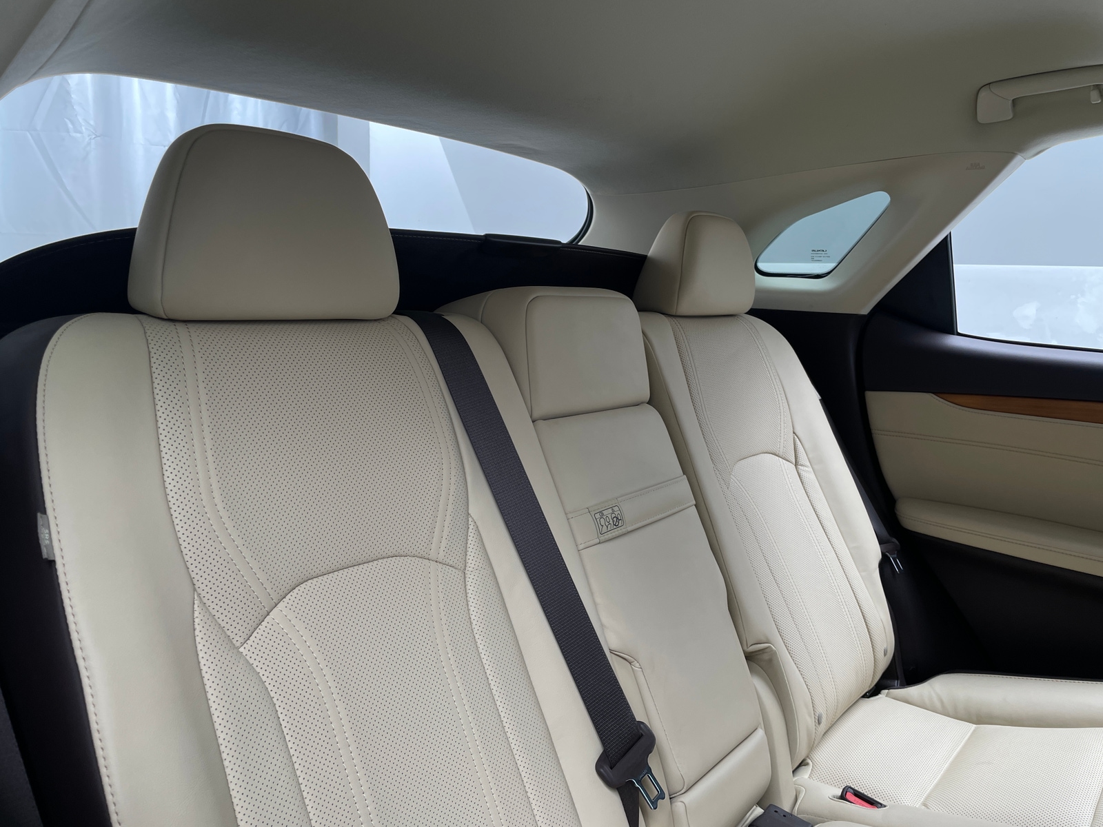 Thumbnail: 2019 Lexus RX - 6