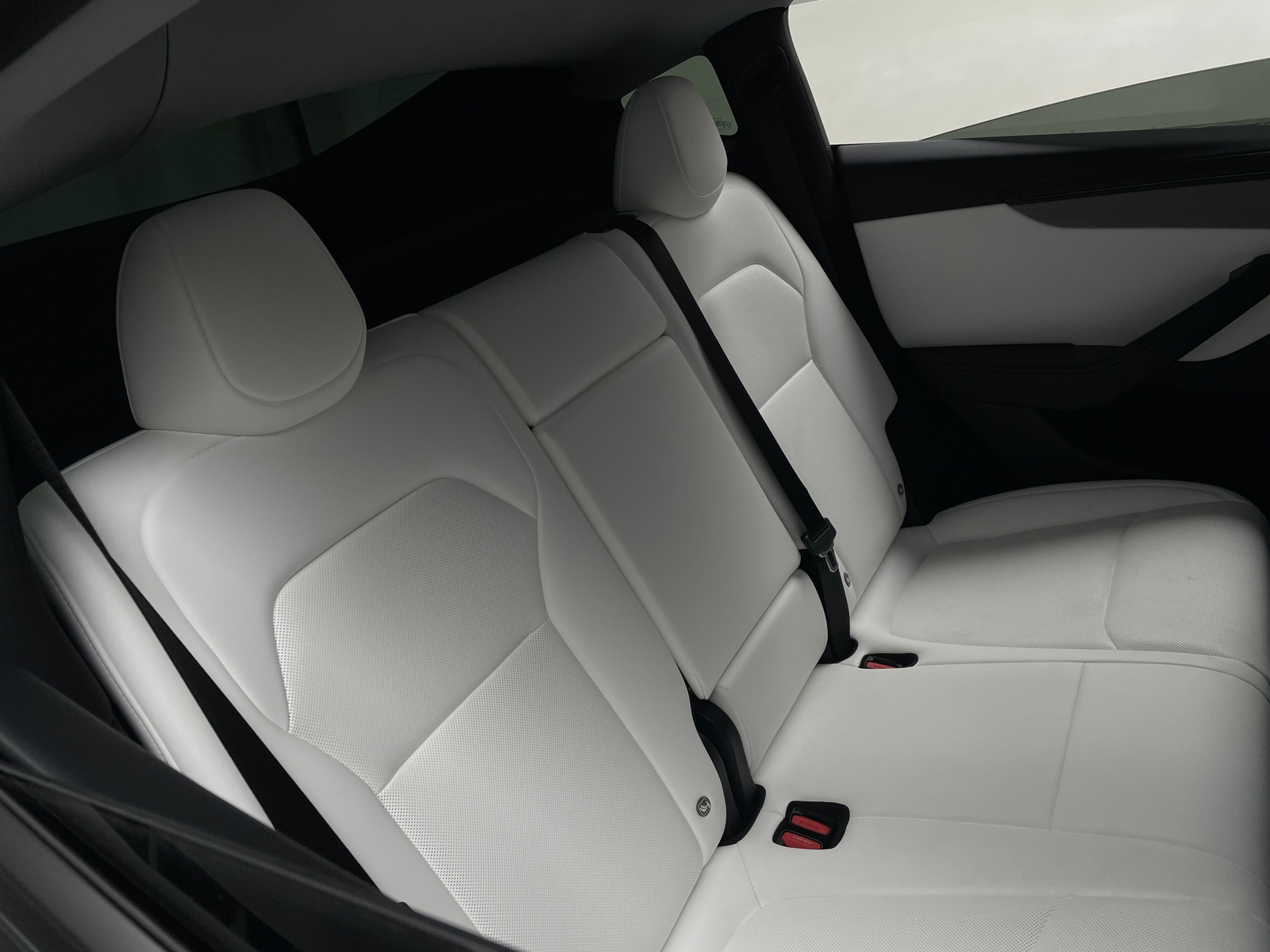 Thumbnail: 2026 Tesla Model Y - 5