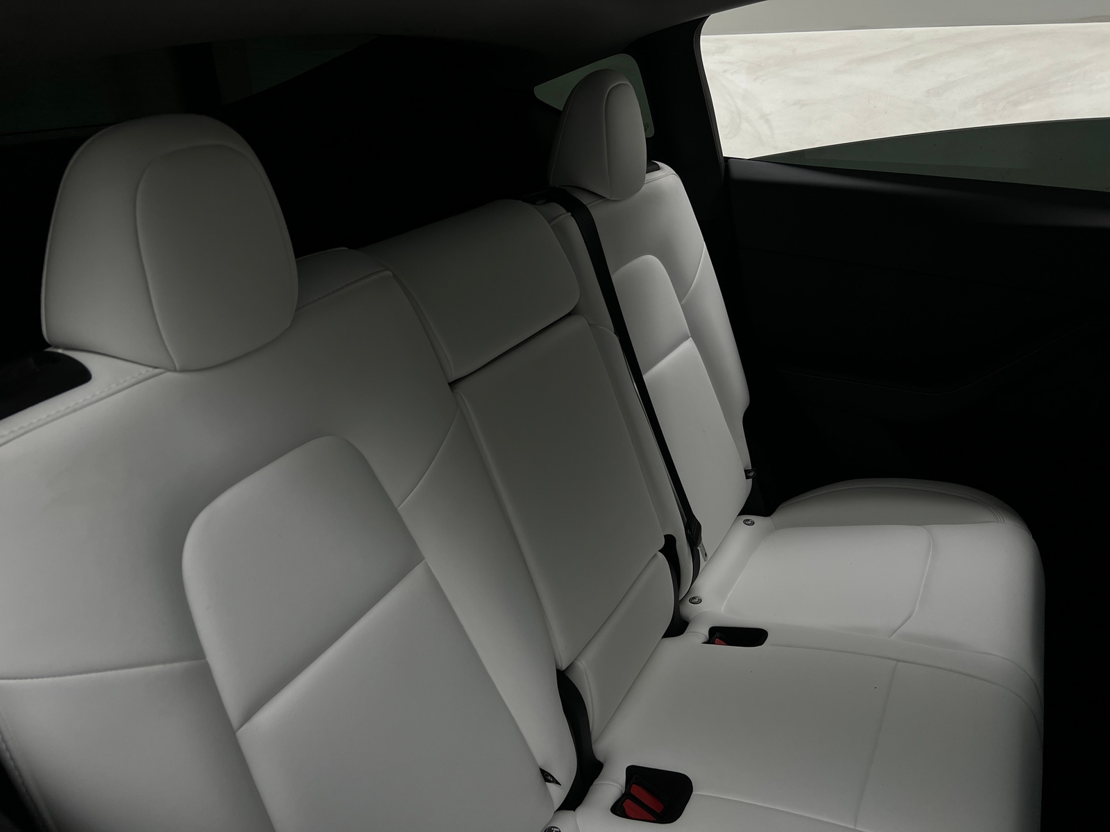 Thumbnail: 2025 Tesla Model Y - 5