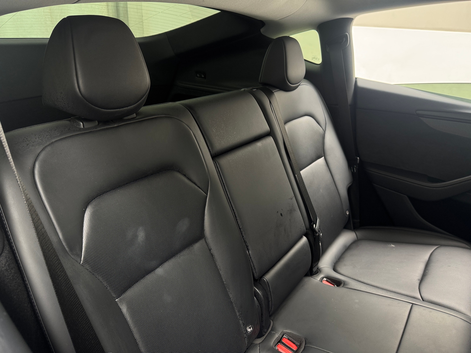 Thumbnail: 2026 Tesla Model Y - 5