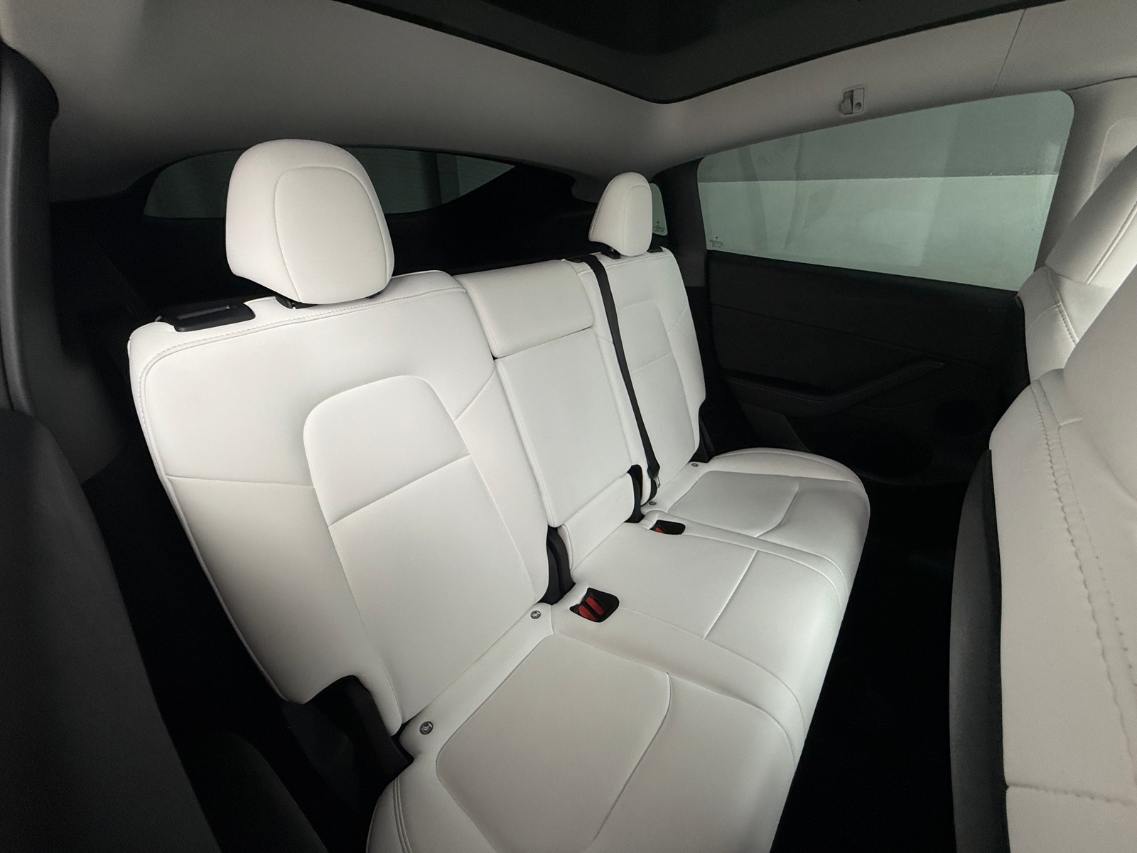 Thumbnail: 2023 Tesla Model Y - 5