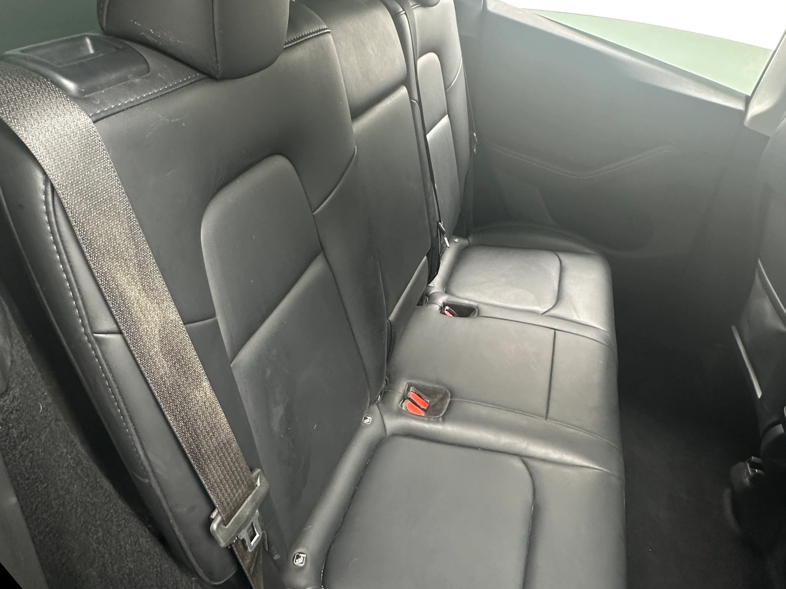 Thumbnail: 2023 Tesla Model Y - 5