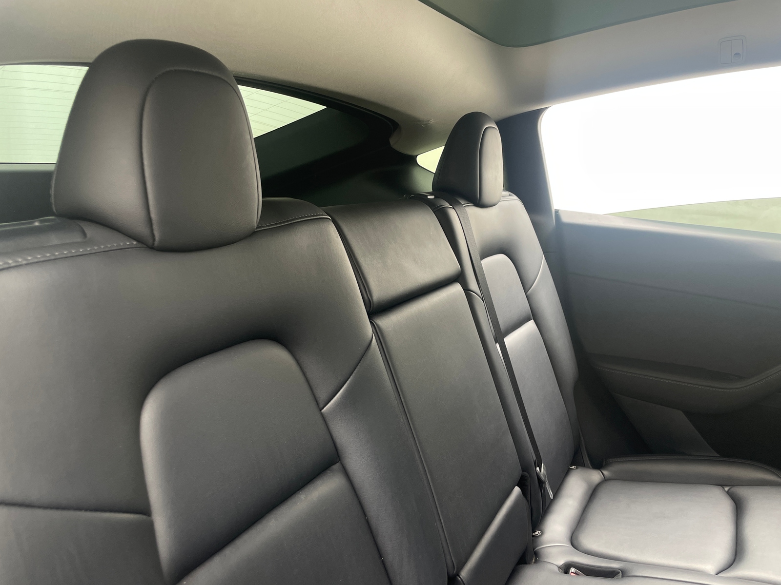 Thumbnail: 2023 Tesla Model Y - 5