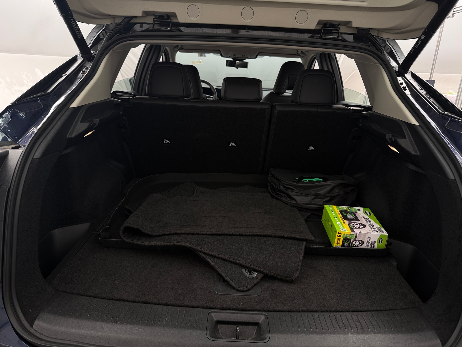 Thumbnail: 2024 Nissan Ariya - 6