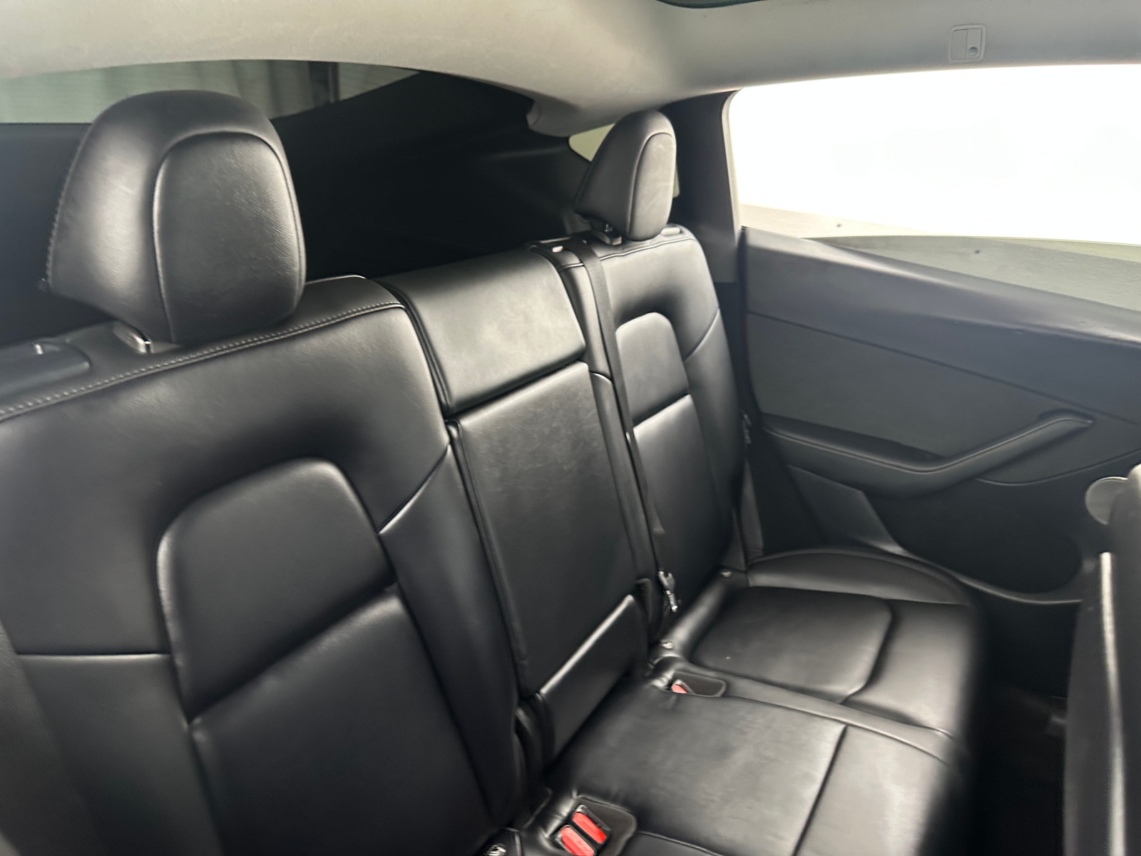 Thumbnail: 2023 Tesla Model Y - 5