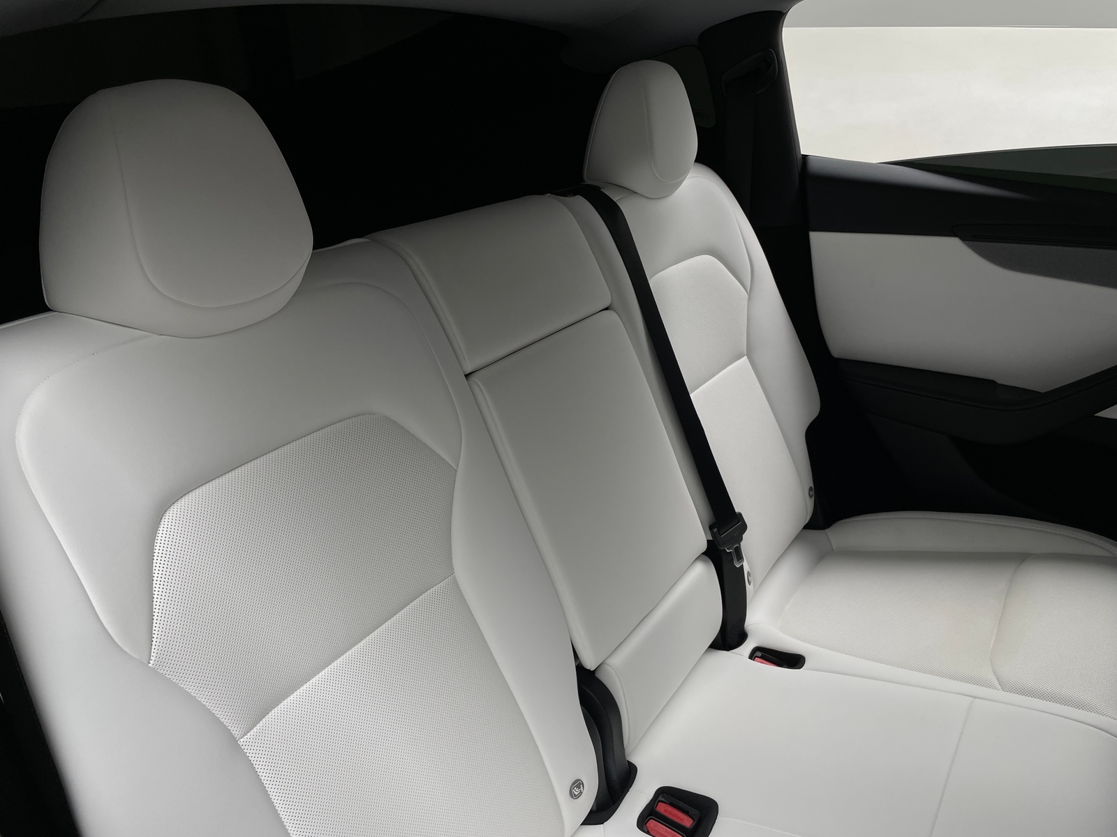 Thumbnail: 2026 Tesla Model Y - 5