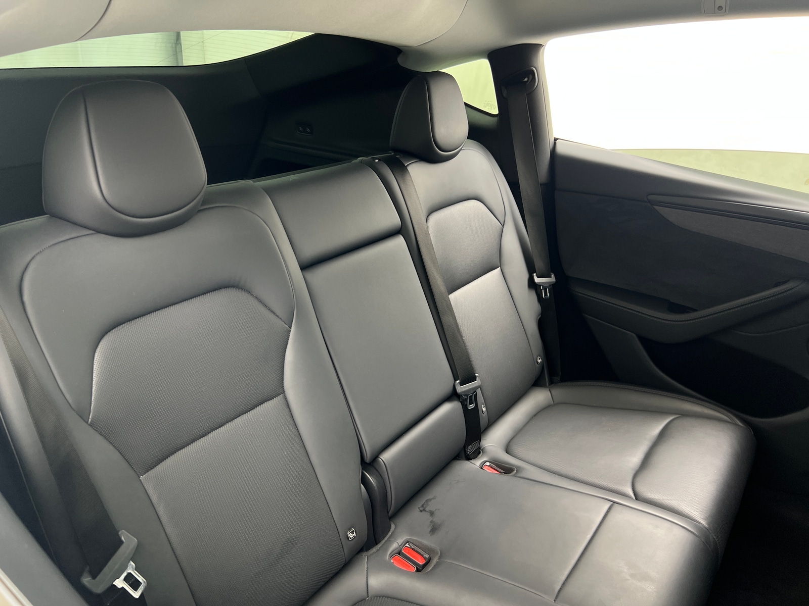 Thumbnail: 2026 Tesla Model Y - 5