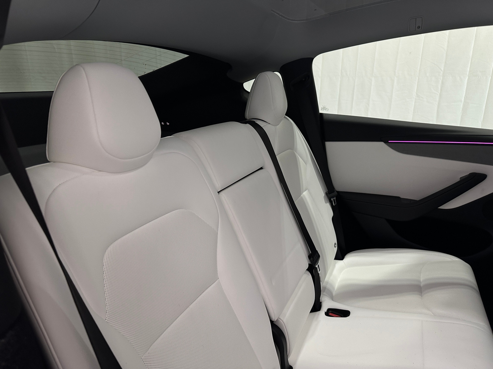 Thumbnail: 2026 Tesla Model Y - 5