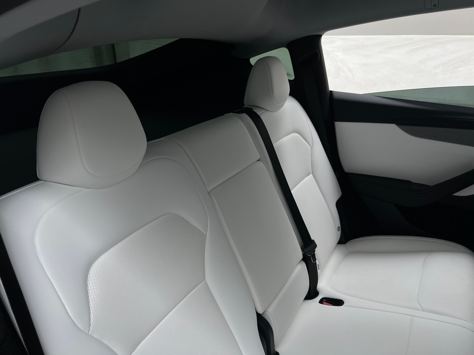 Thumbnail: 2026 Tesla Model Y - 5