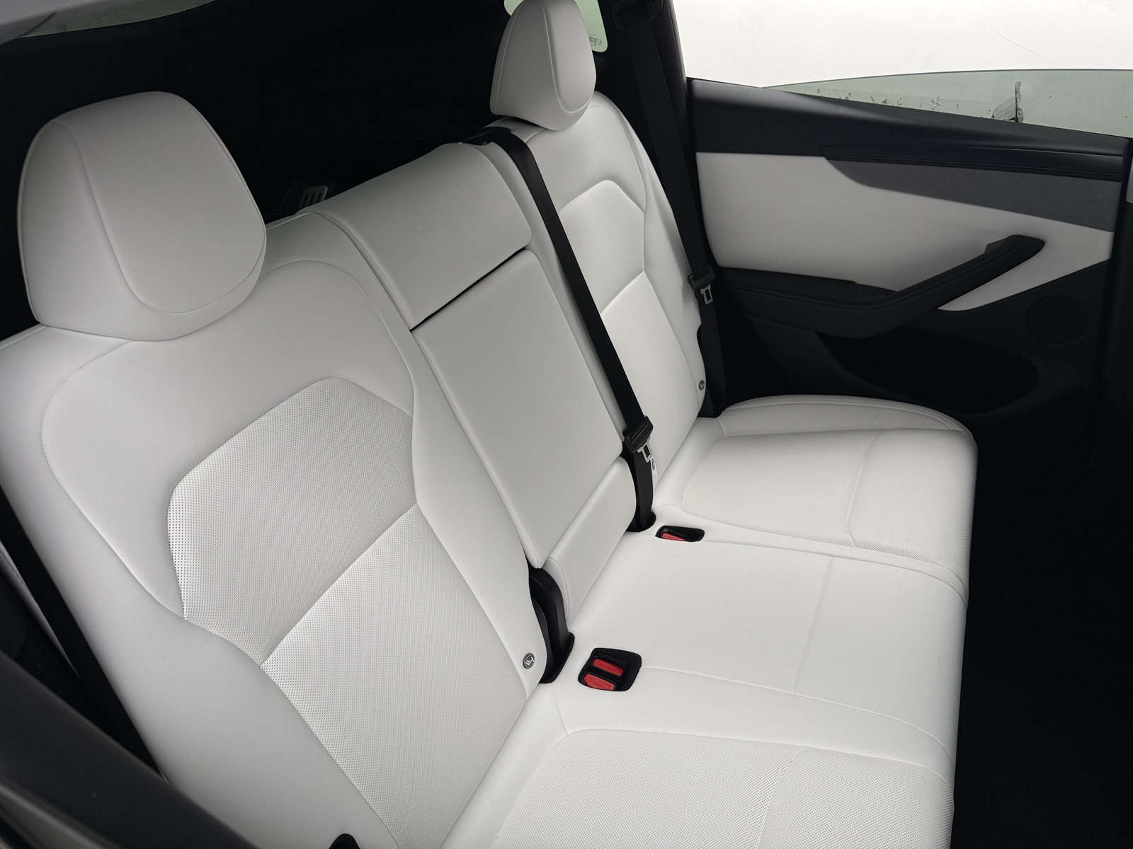 Thumbnail: 2026 Tesla Model Y - 5