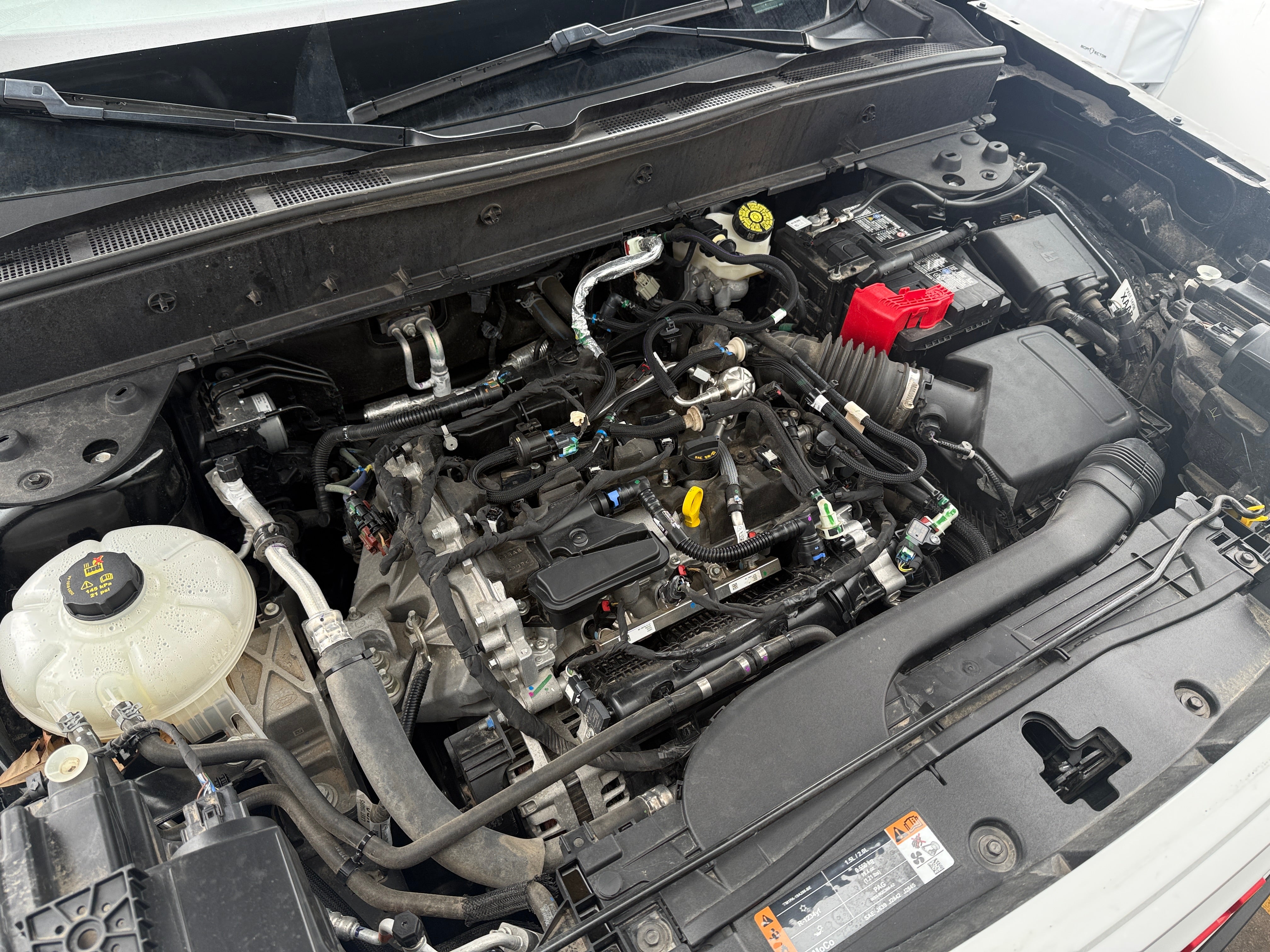 2023 Ford Bronco Sport