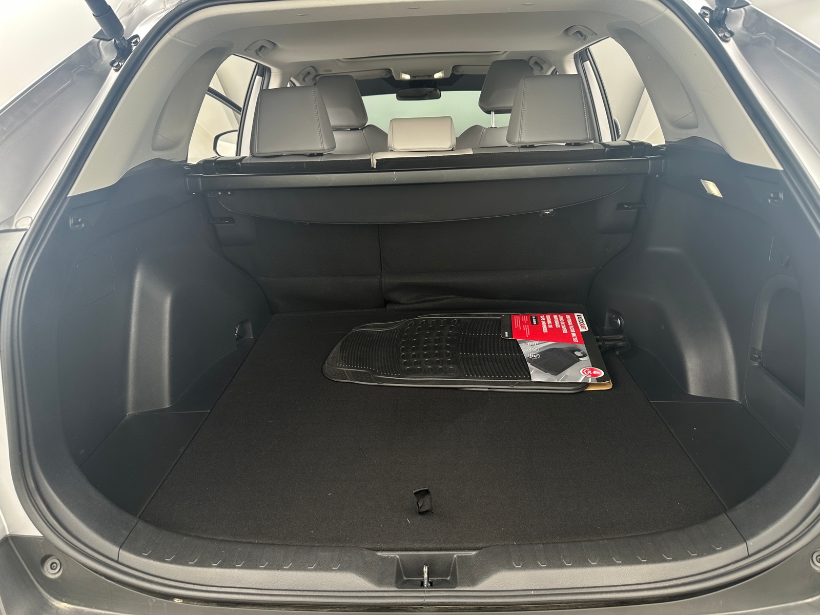 Thumbnail: 2024 Toyota RAV4 - 6