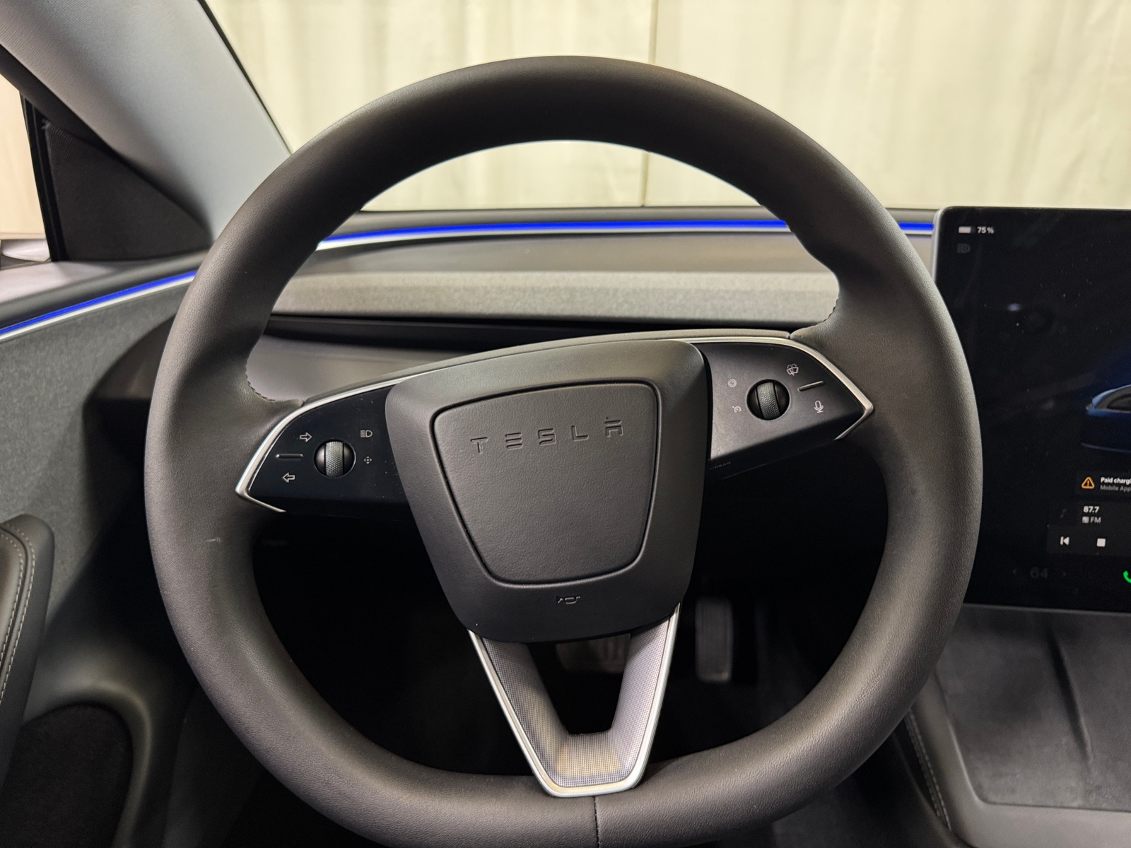 Thumbnail: 2025 Tesla Model 3 - 4